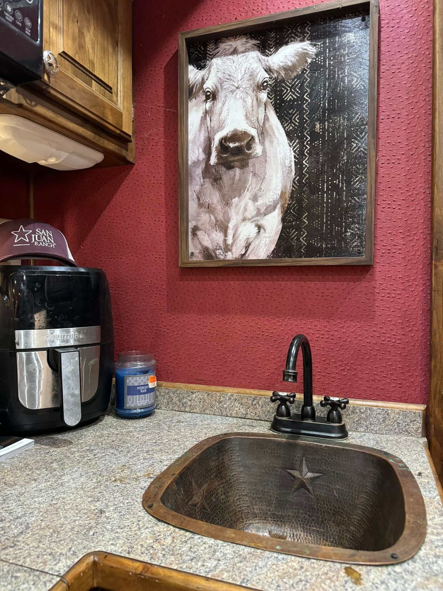 Ruckus Performance Equine | Springfield TN