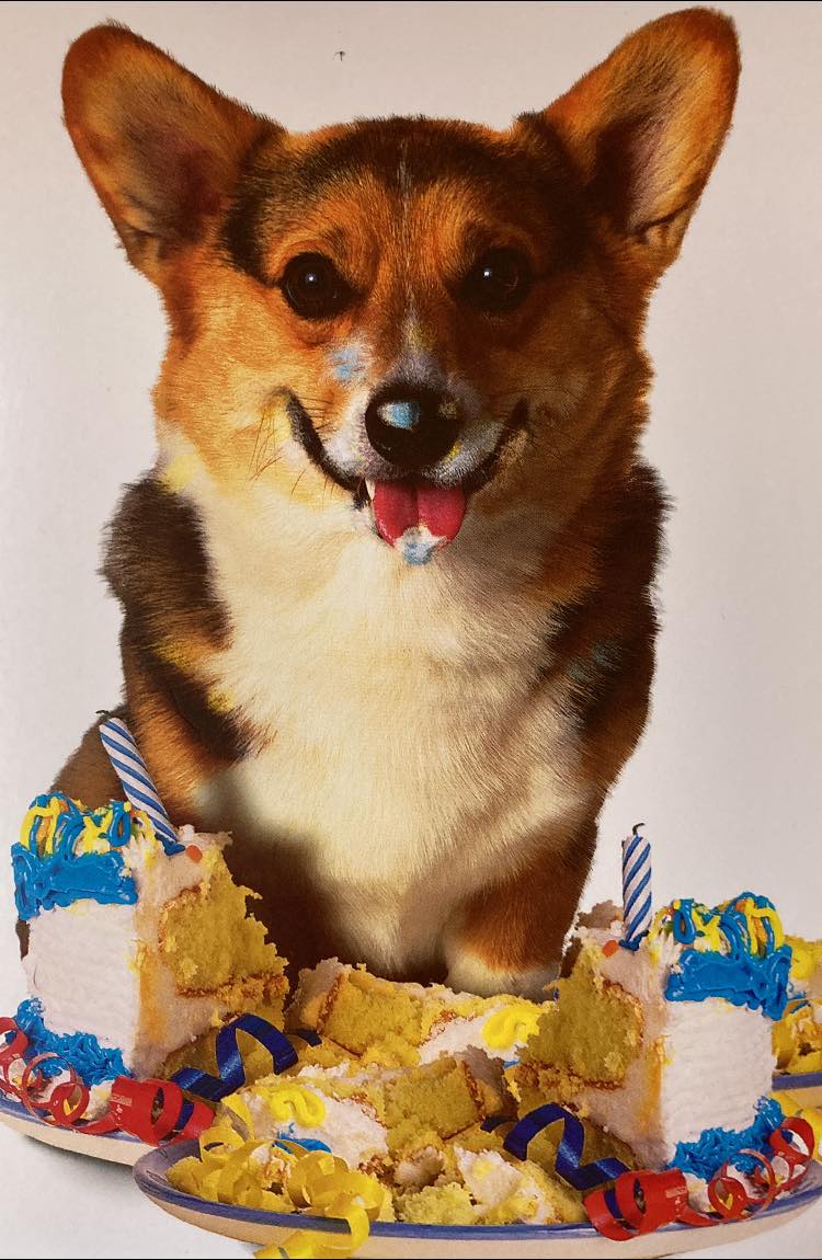 mtg corgi card Firewalker - Andrea Radeck - Creature Collection At the beginning of the next end step We love Corgis and MTG