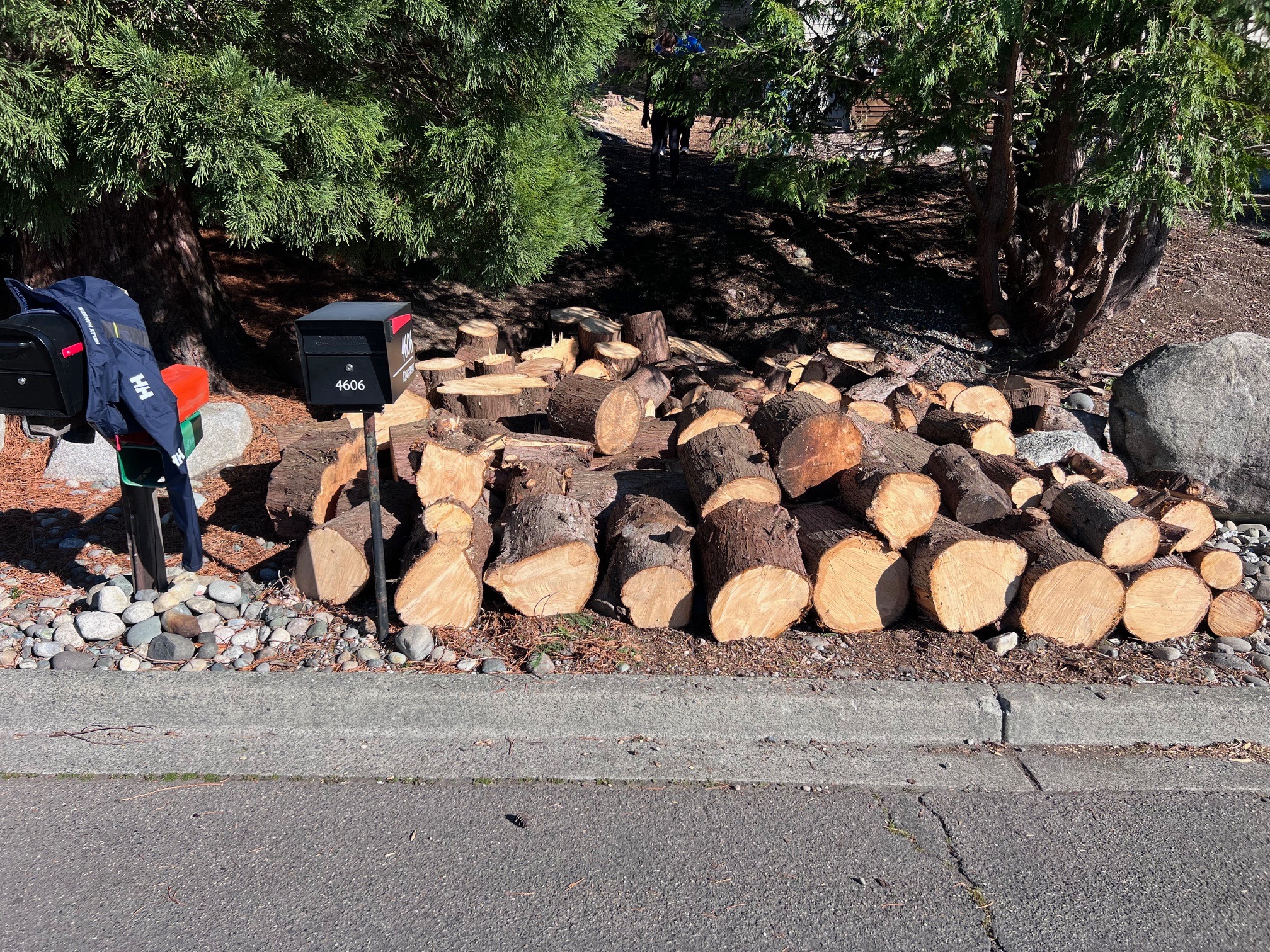 Free firewood available in Anacortes