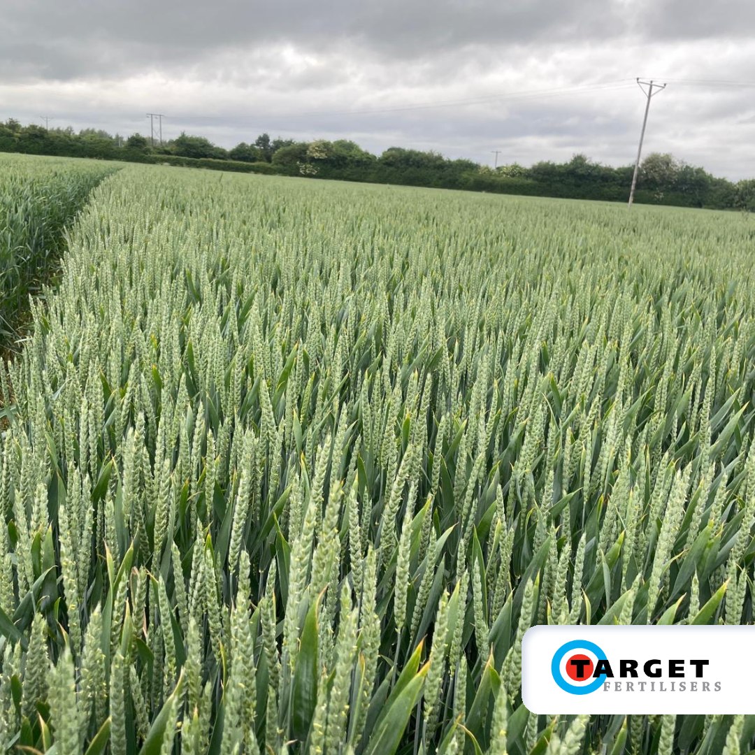 Target Fertilisers