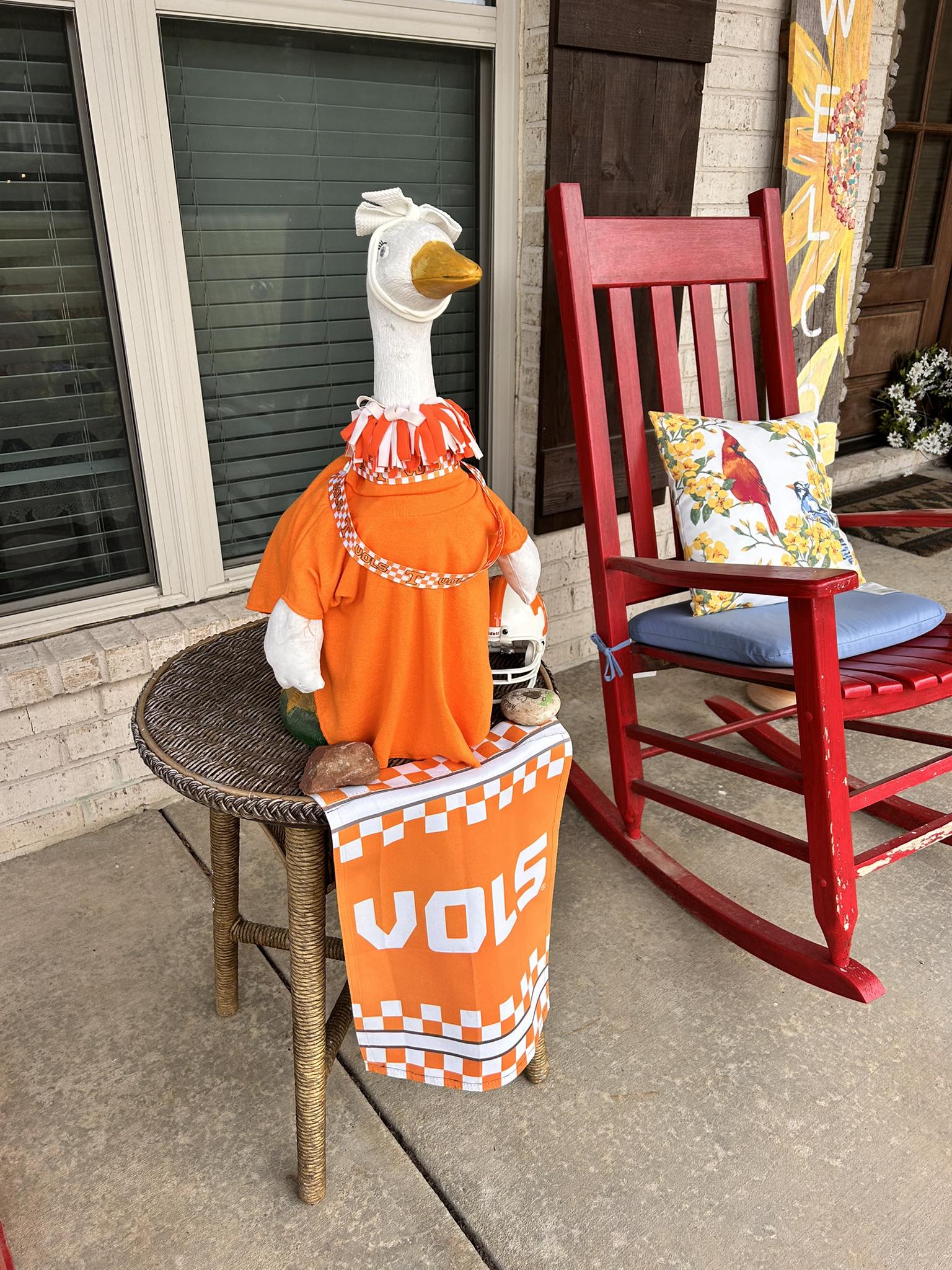 The Porch Goose Club of America | Ruby Goosey ready for the game | Facebook