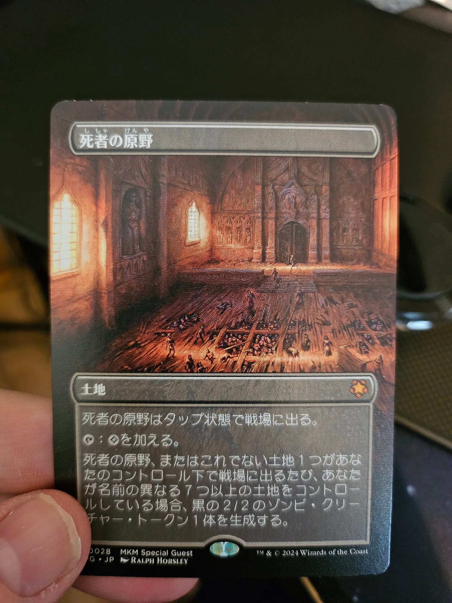 Is this a common error ? These are kamigawa Japanese lands . Pink 