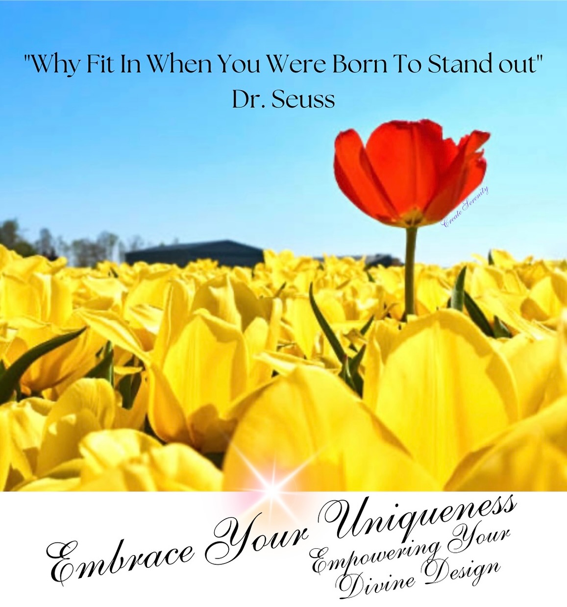 Tera - Your Human Design: A Map to Your Most Aligned Life Did you know ...