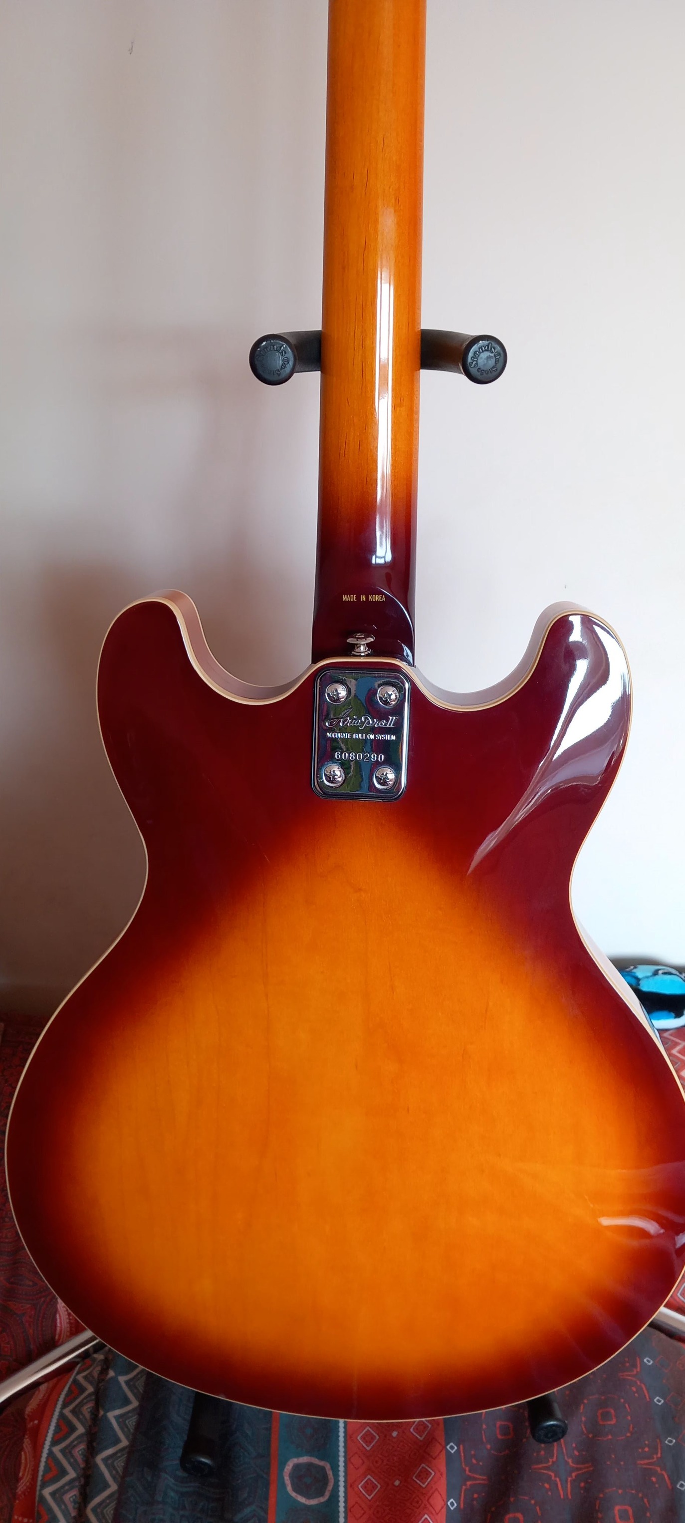 What is the story behind the Aria SW-40 acoustic guitar?