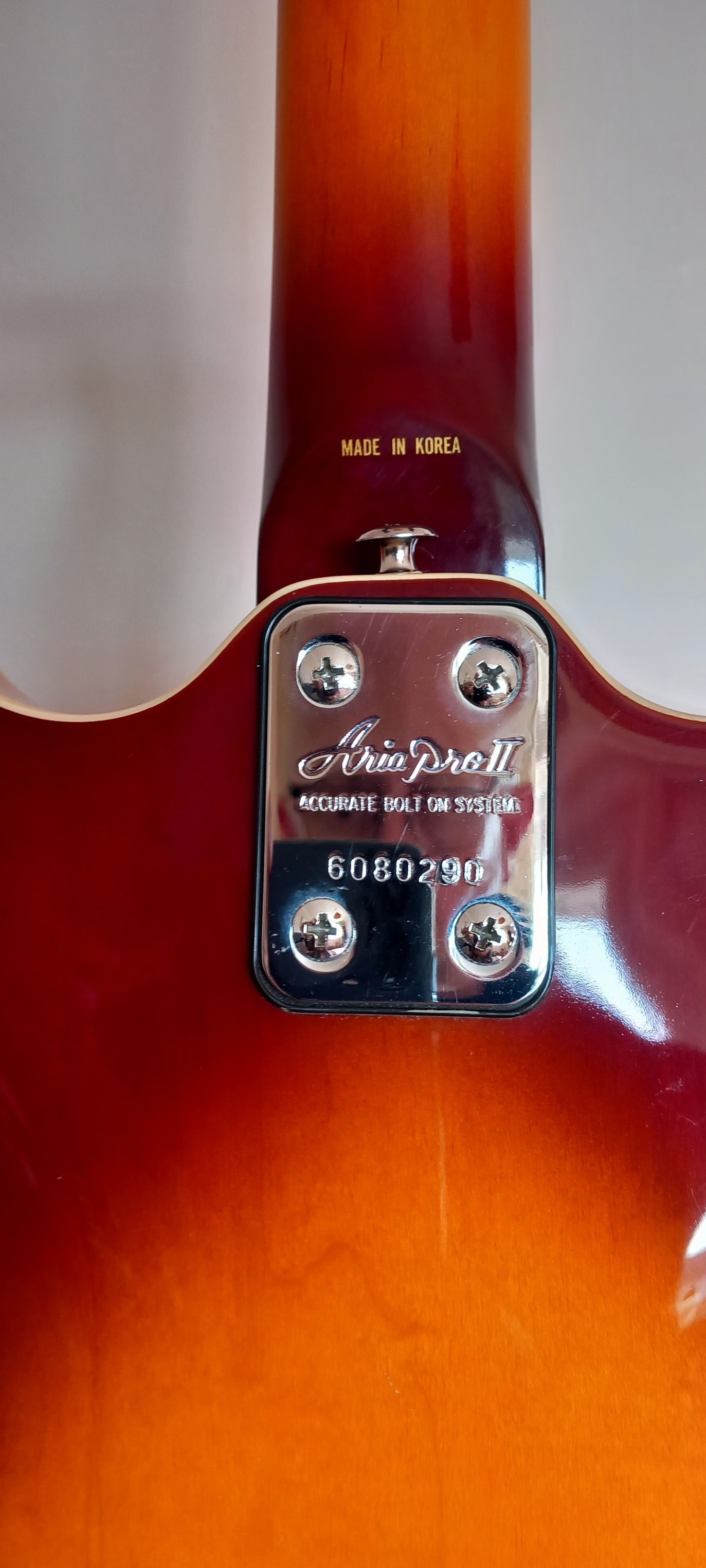 What is the story behind the Aria SW-40 acoustic guitar?