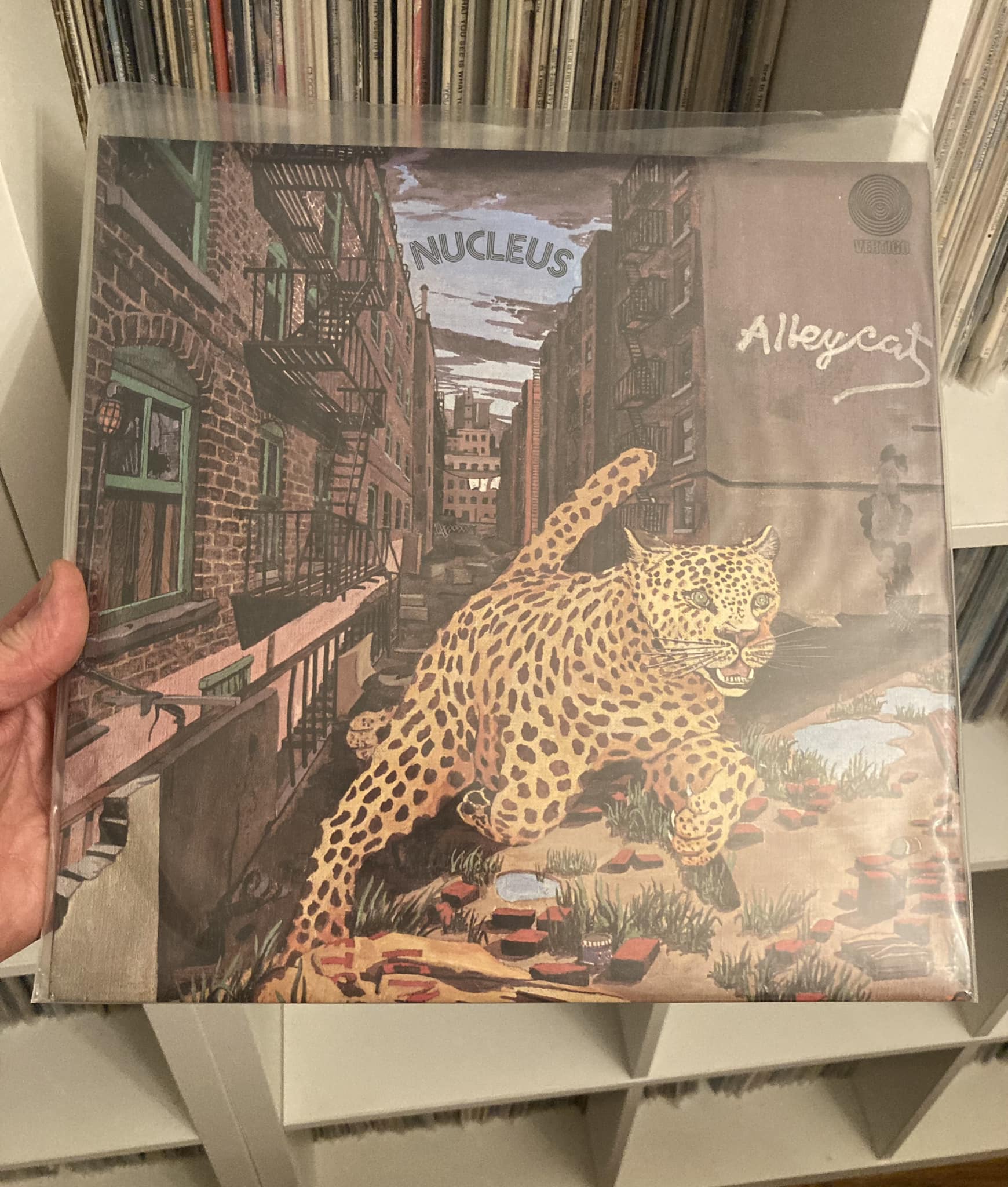 Nucleus album Alleycat released in 1975
