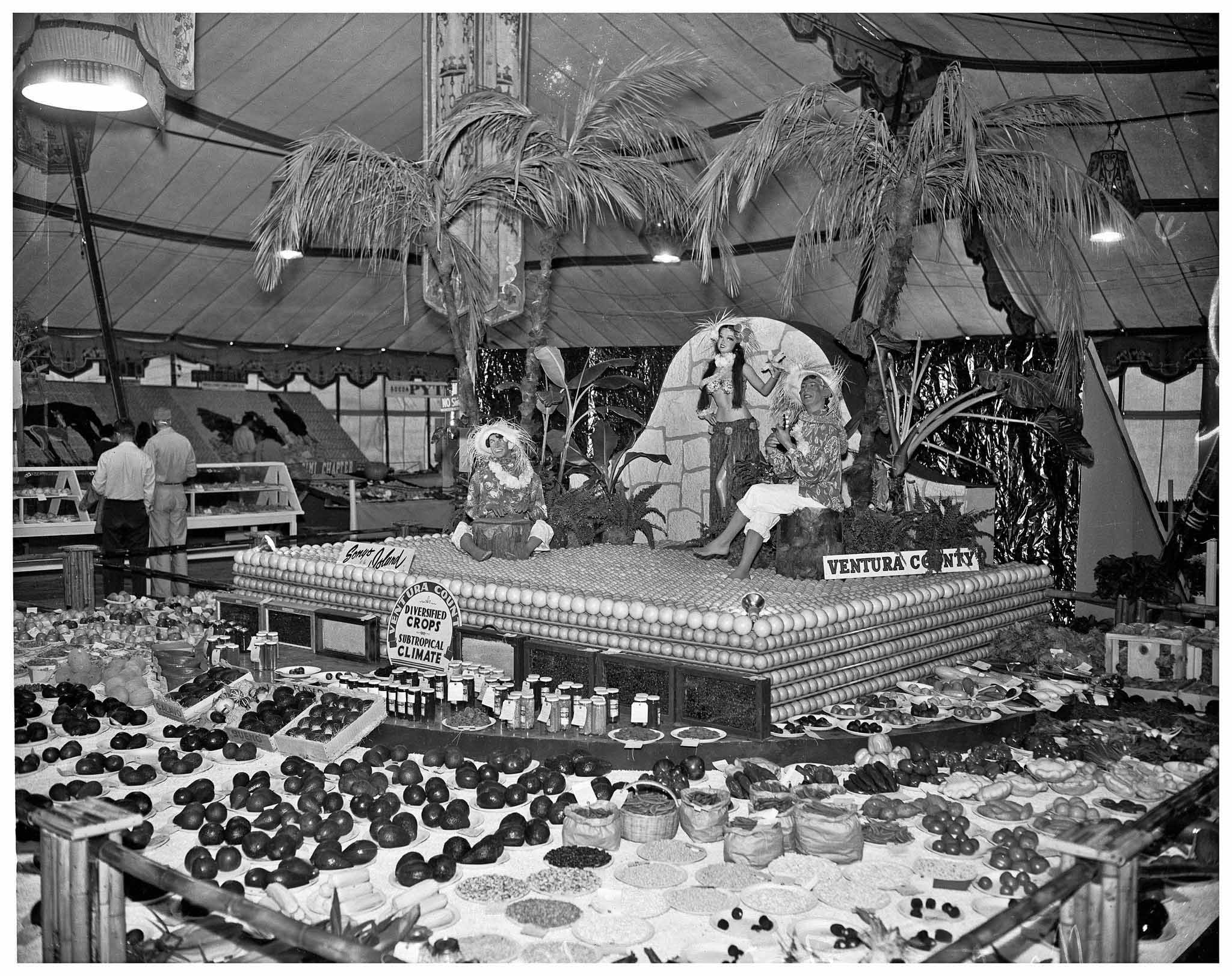 Throwback to the 1998 Citrus Exhibit at the California State Fair