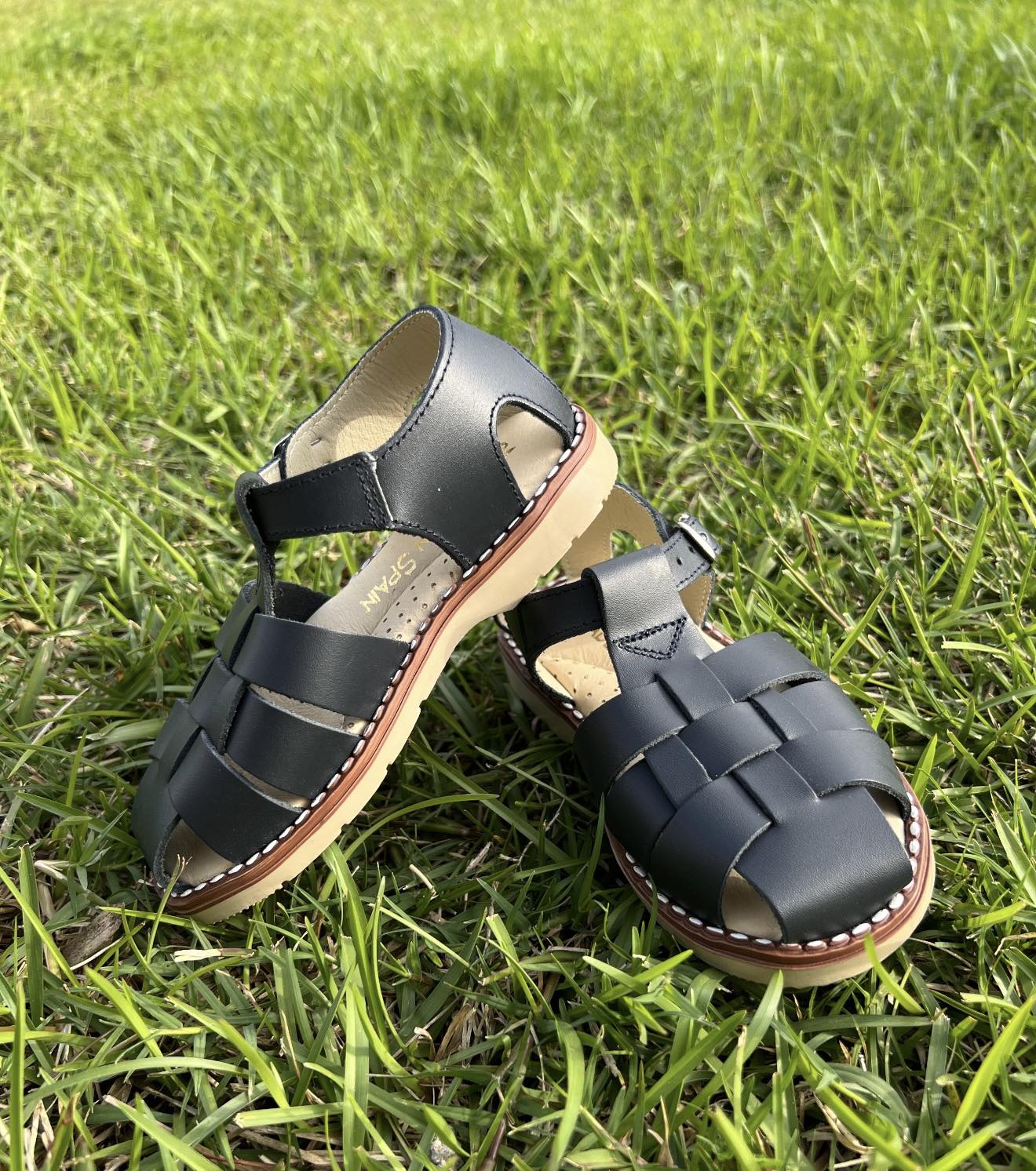 Sandal for boy color light blue with green dinosaur head, red