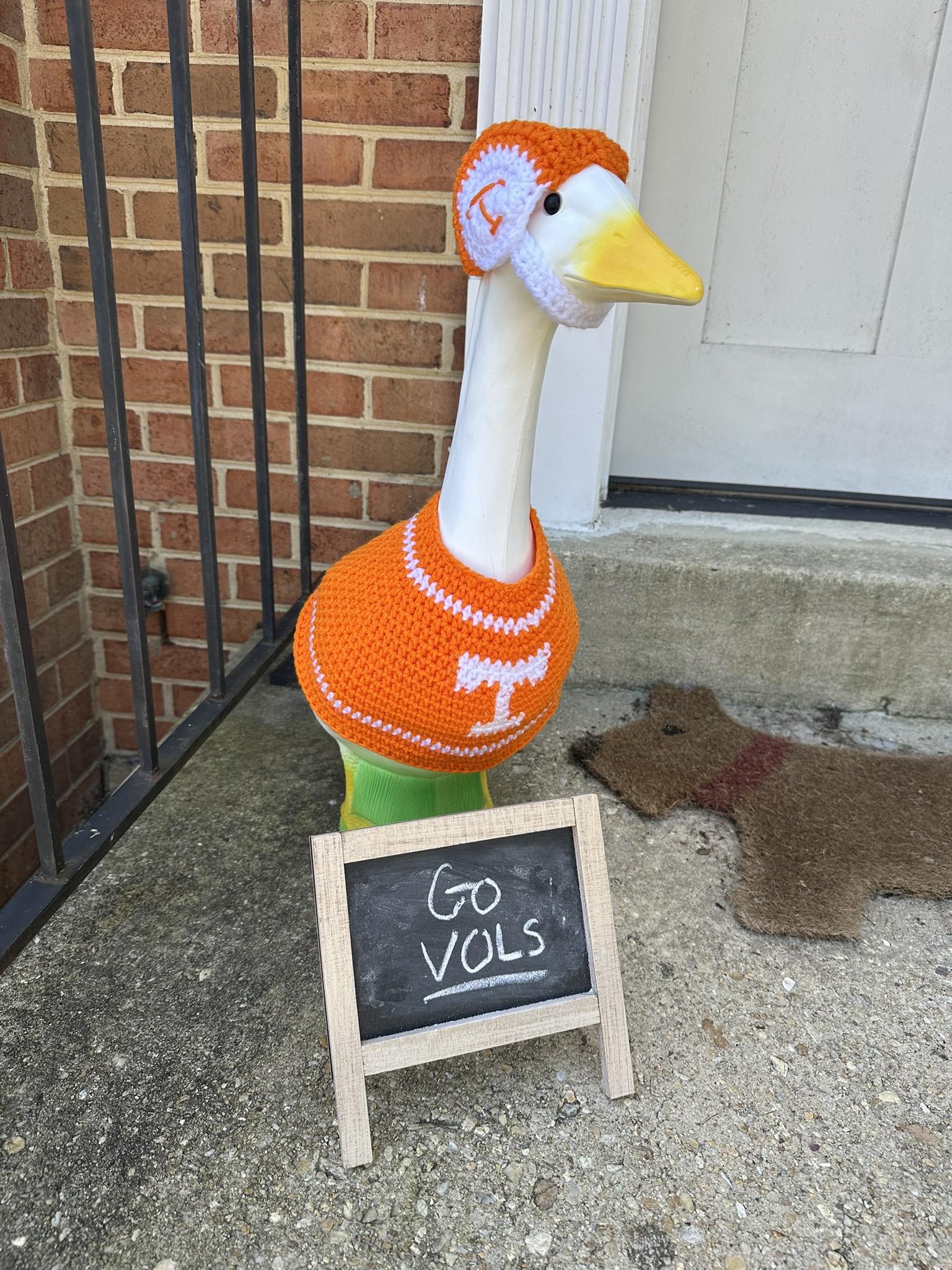 The Porch Goose Club of America | My sister is a huge Vols fan, so I ...
