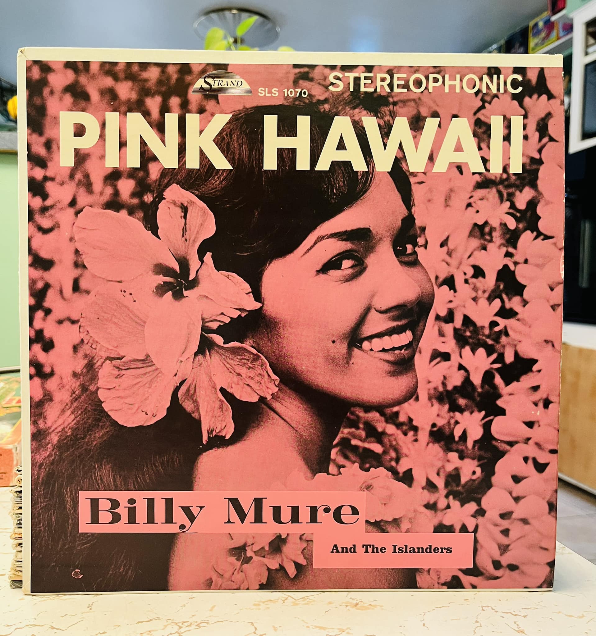 Discovering Pink Hawaii music with Billy Mure