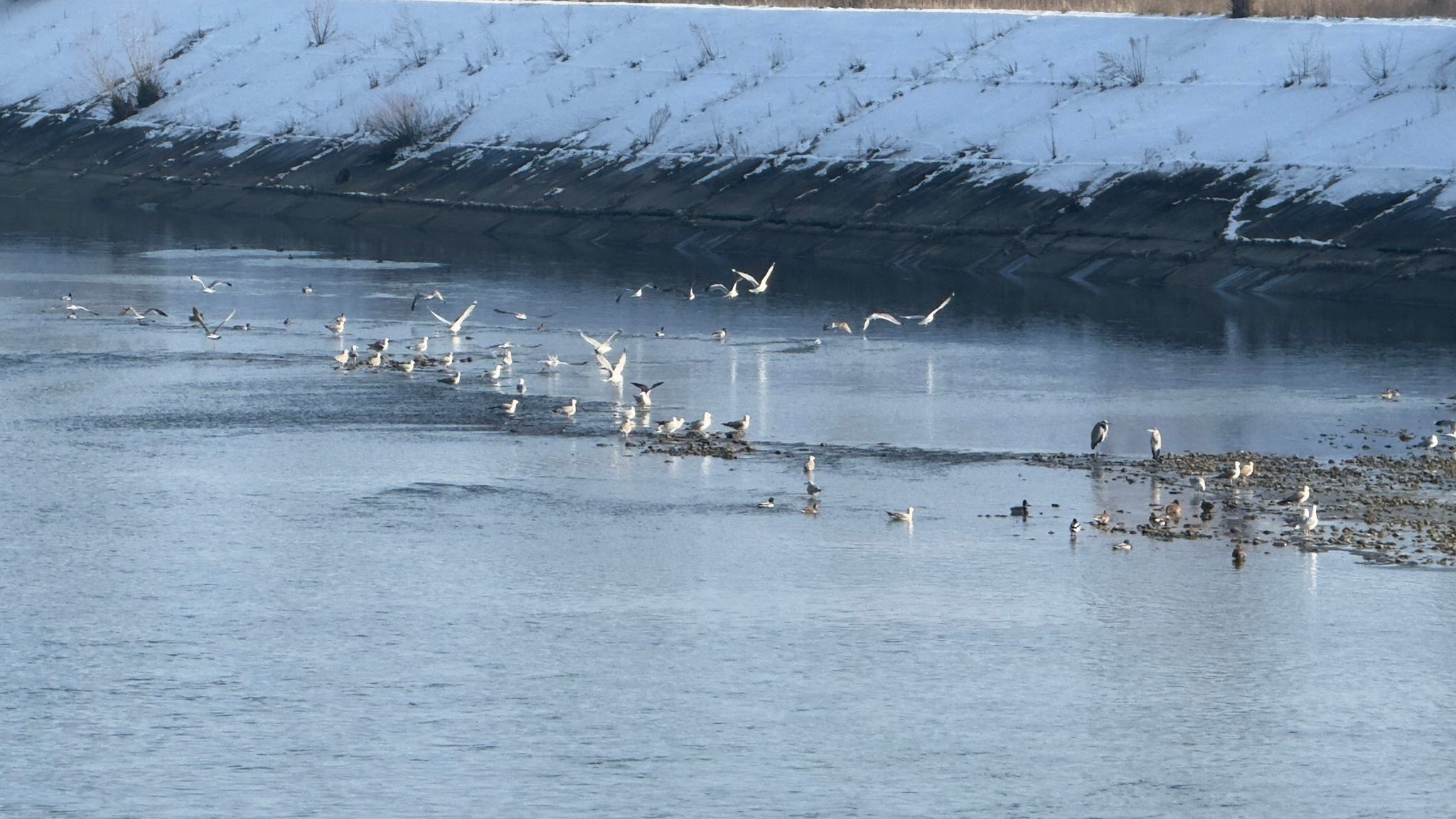 Tara Oltului - Raul Olt in Judetul Sibiu