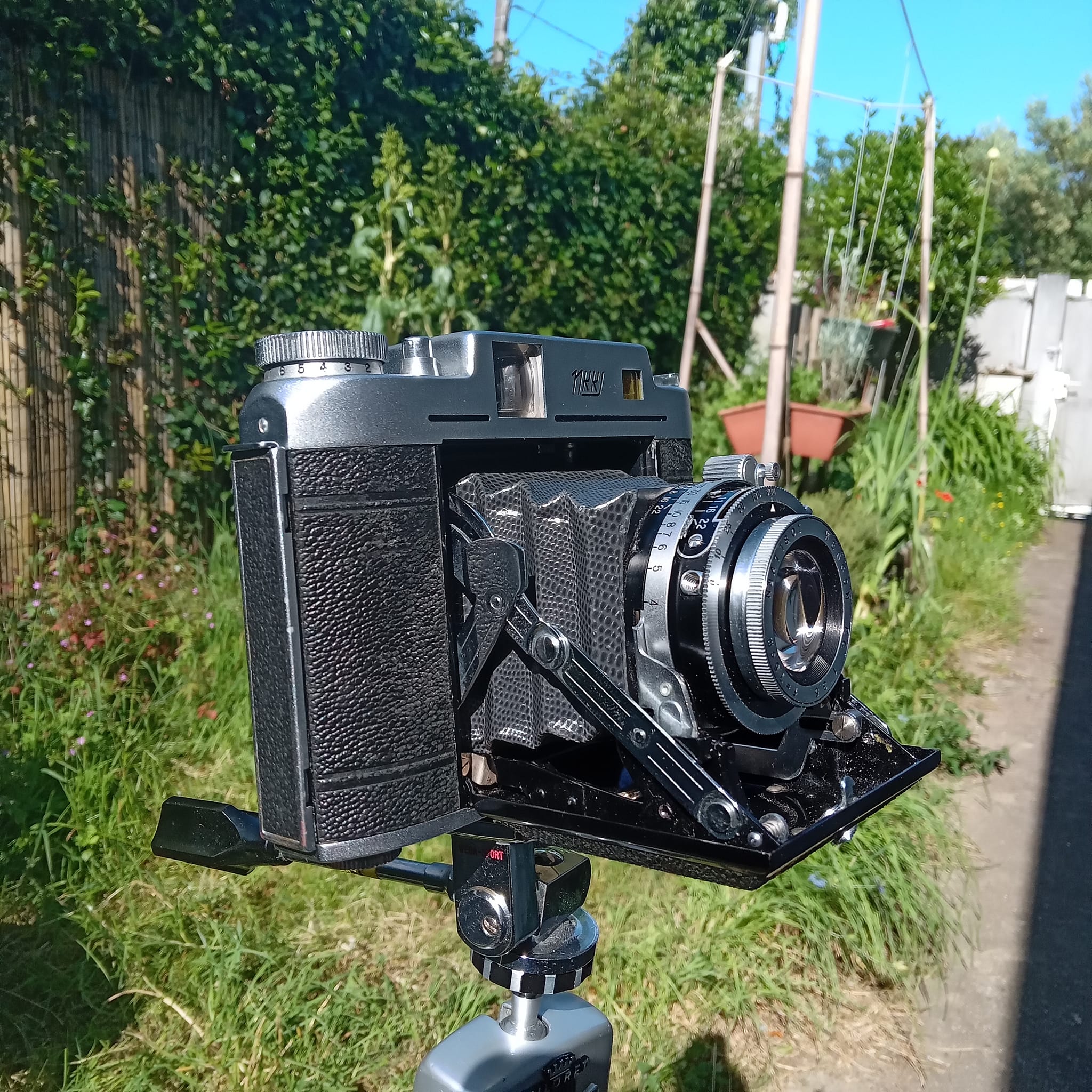A recently fixed rarity, a Nishida Wester S2 6x6 folding camera