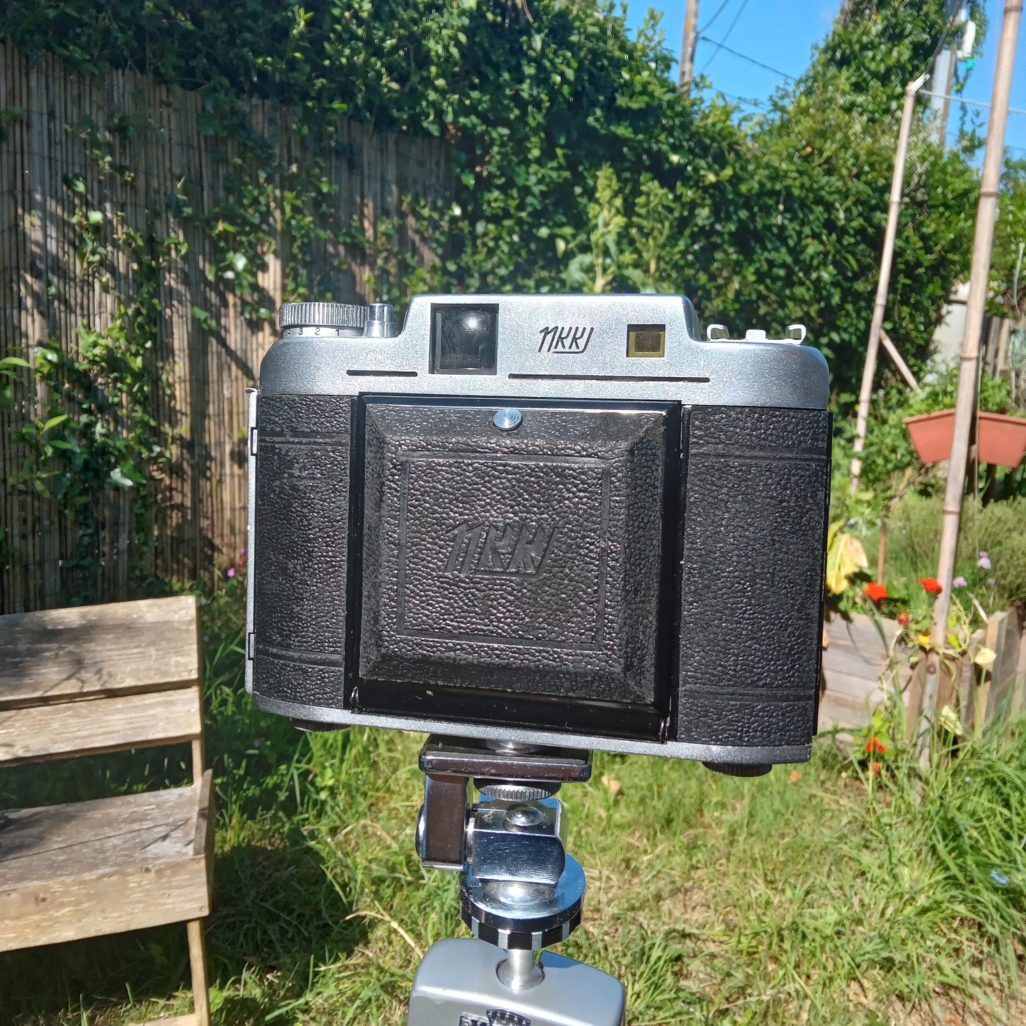 A recently fixed rarity, a Nishida Wester S2 6x6 folding camera