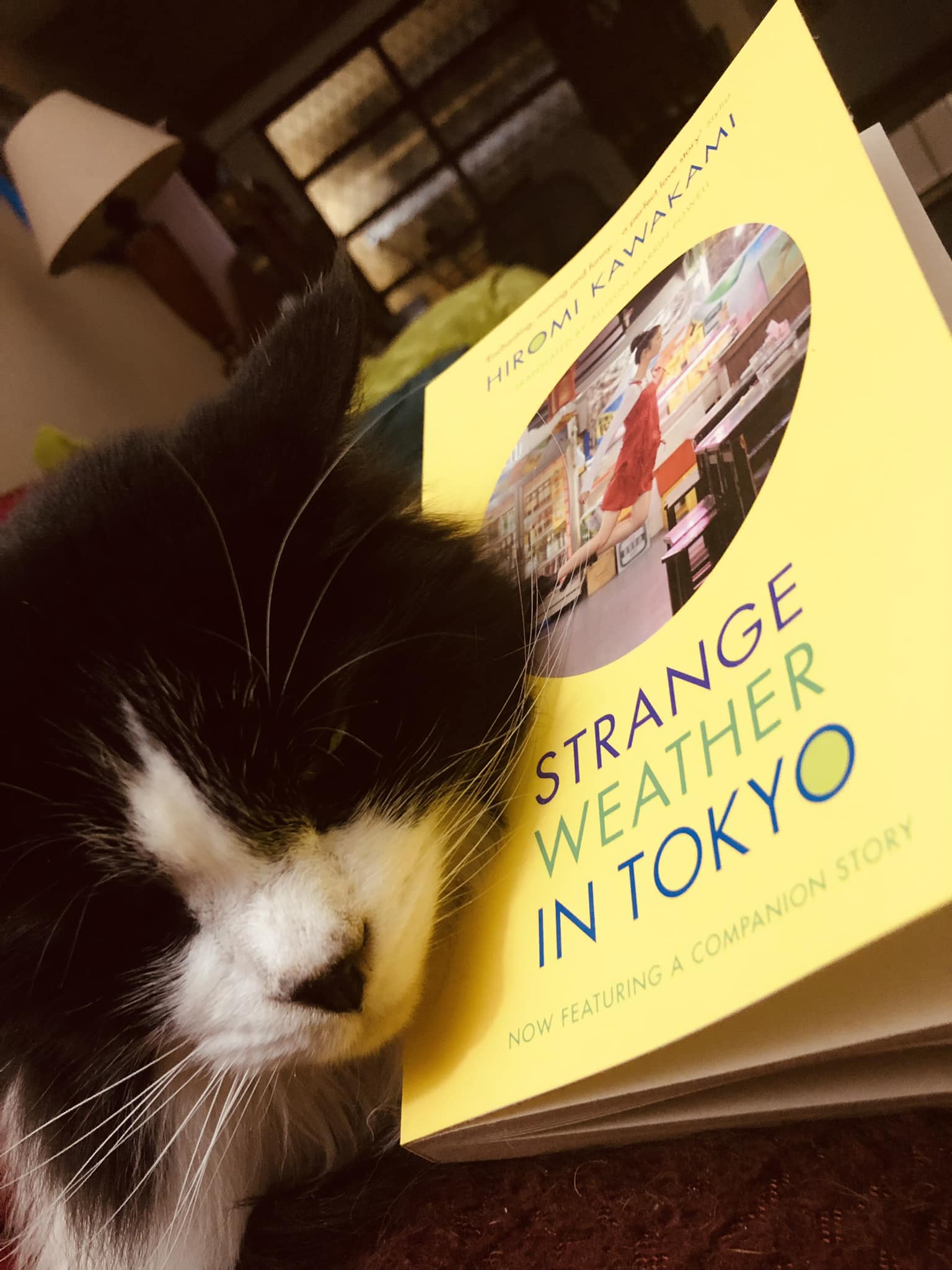 Exploring cosmic karmic connections in Japanese literature and film