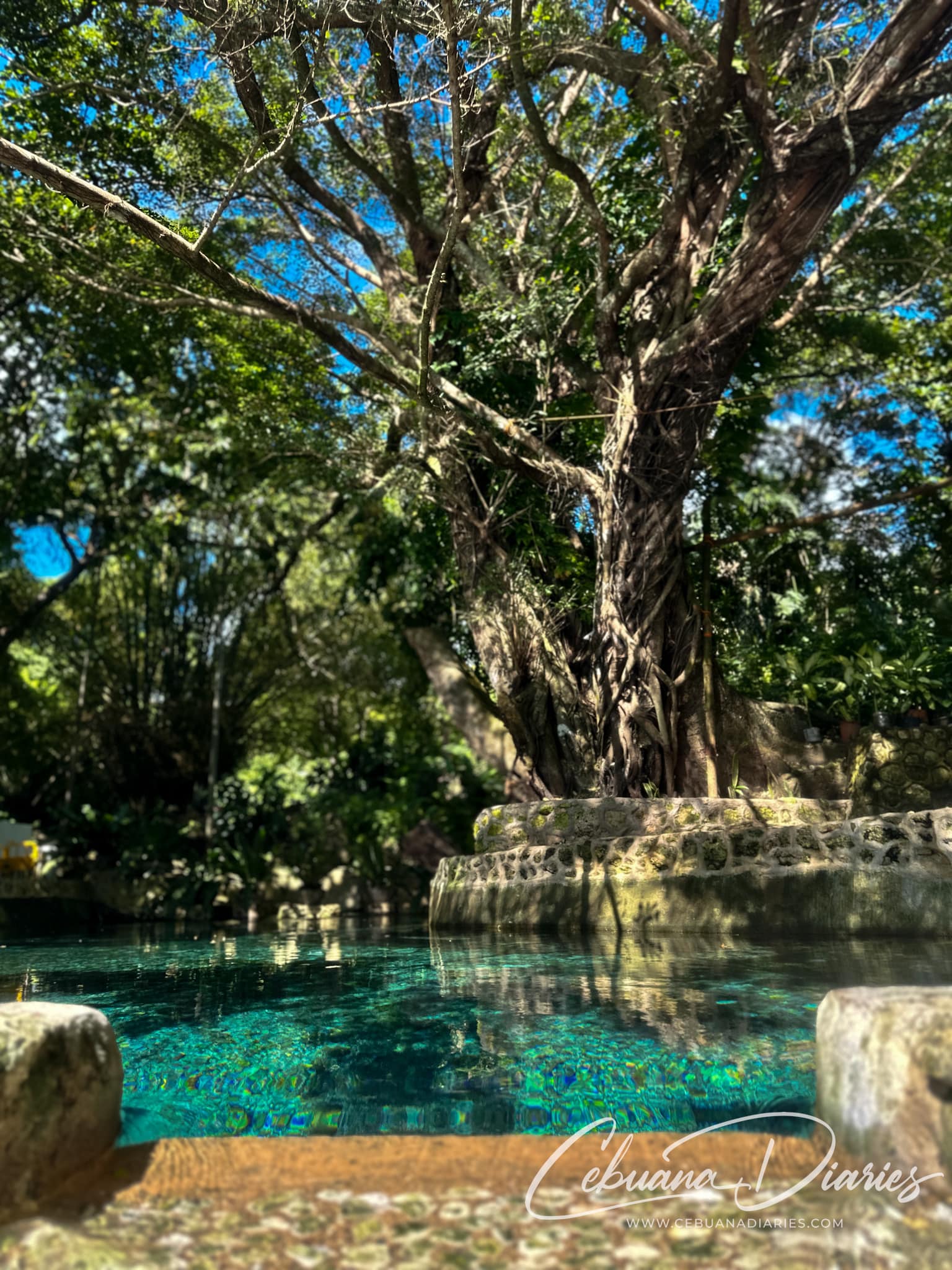 Cebuanadiaries - If you’re looking for a refreshing...