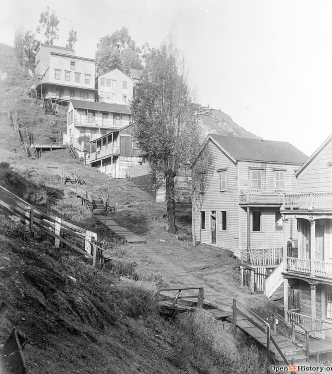 Telegraph Hill San Francisco 1904