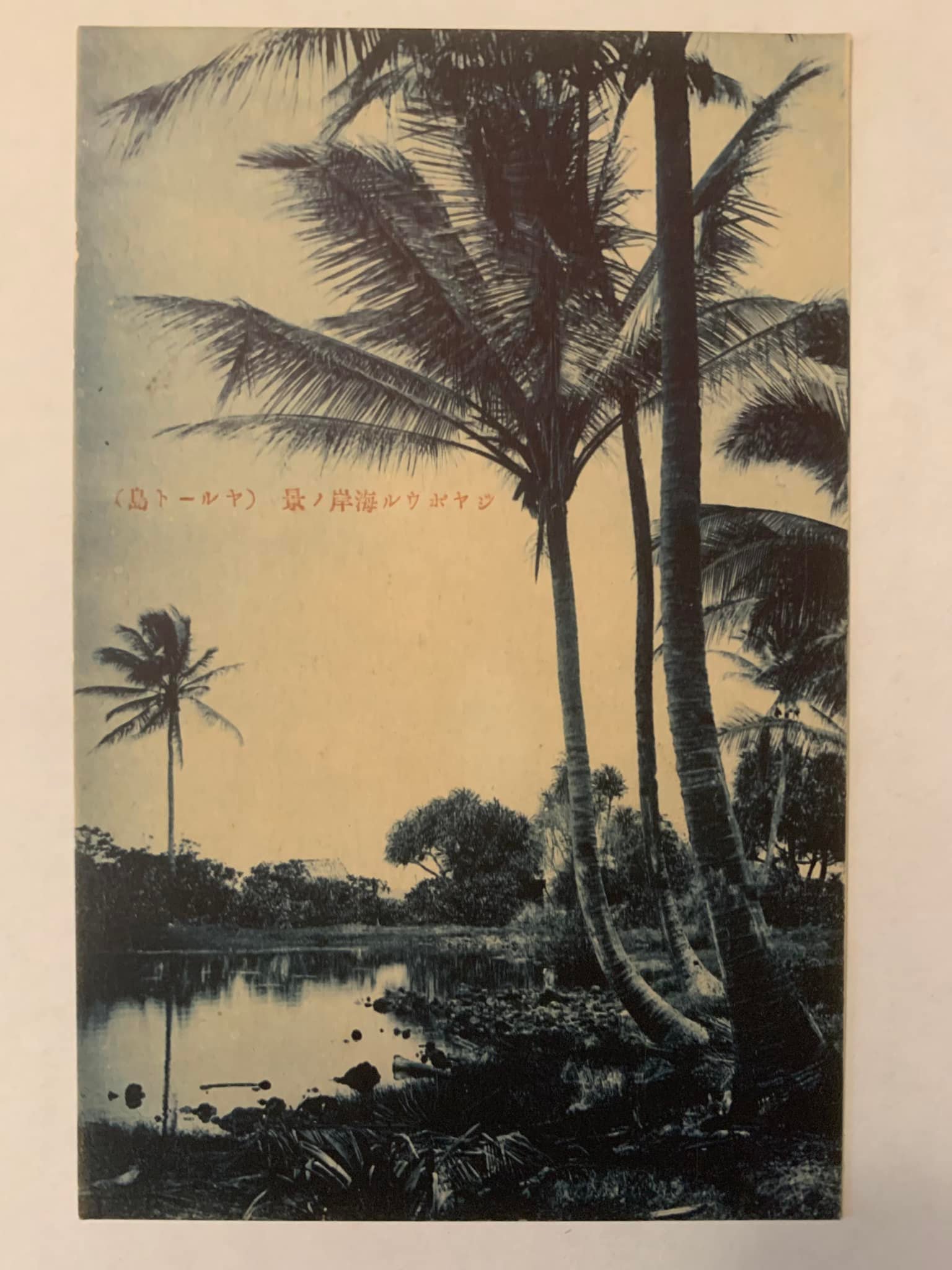 Vintage postcard photo of Marquesas Islands children