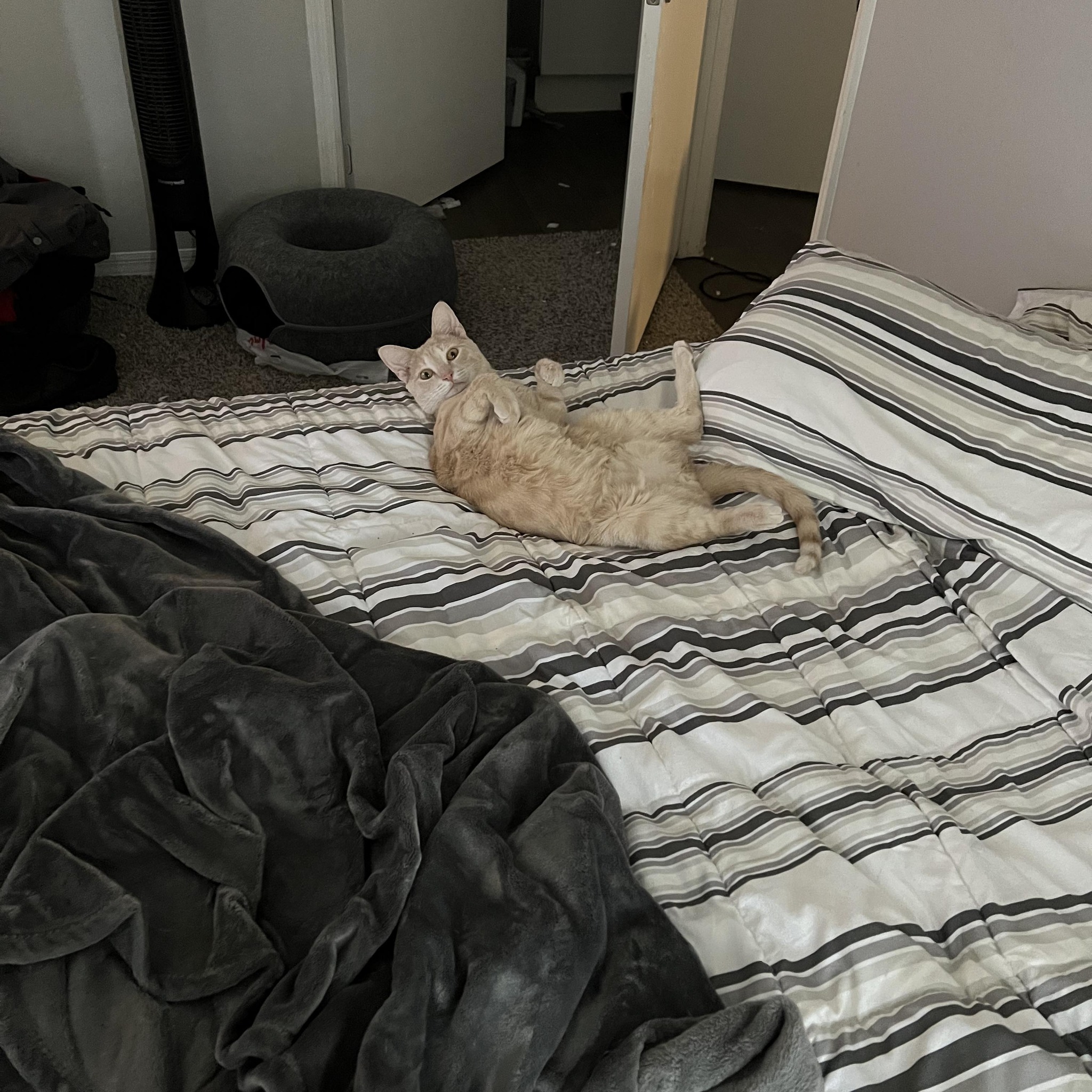11:15AM EST: still no update. | Facebook
