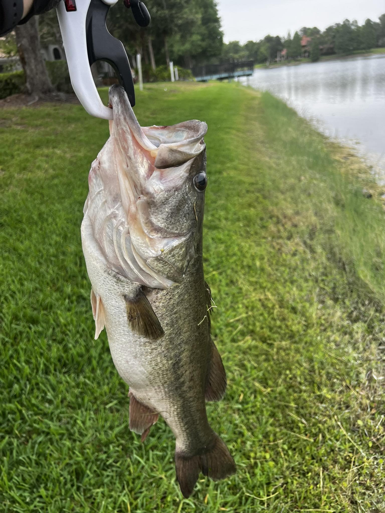 3700 guide series tackle bag Frogg Toggs DARK Graphite method:trolling Model:V2006 fish head hooks fishing The molded base boasts