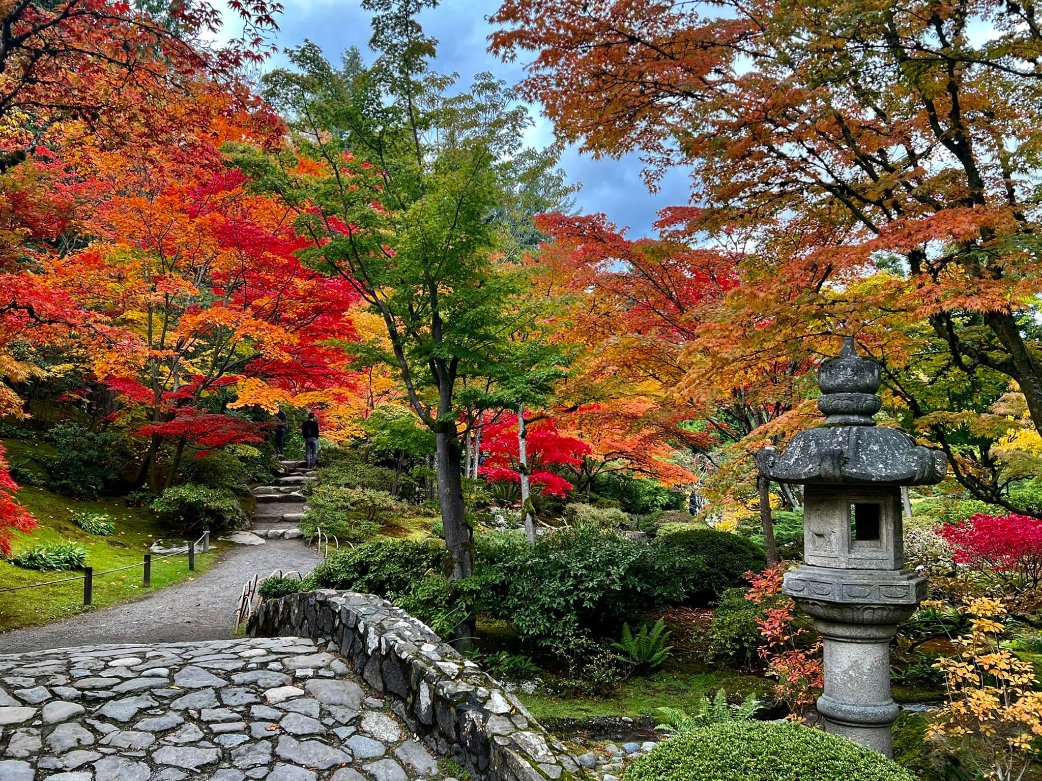 Seattle botanical gardens Japanese garden inspiration
