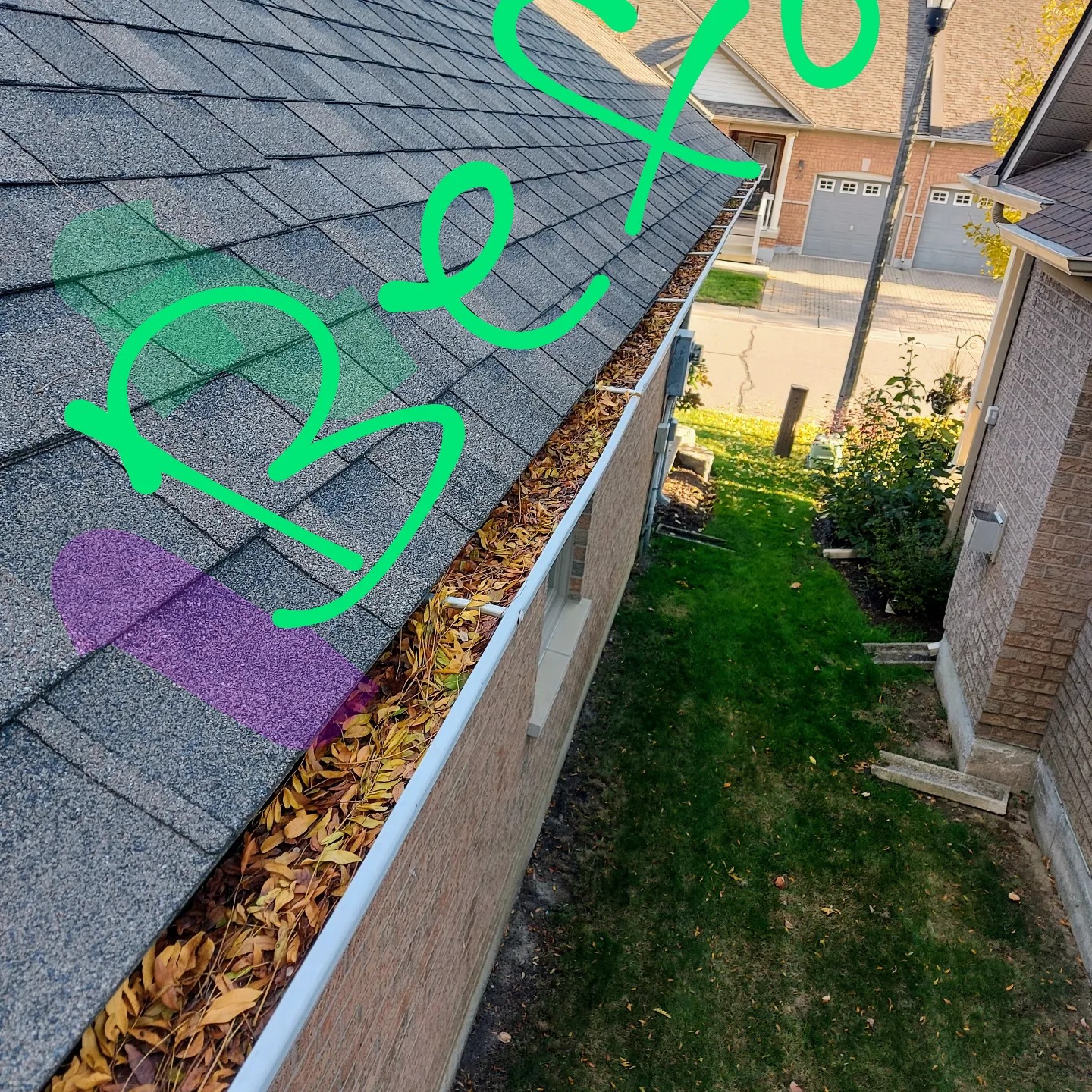 Adam window & gutter cleaning | North York ON