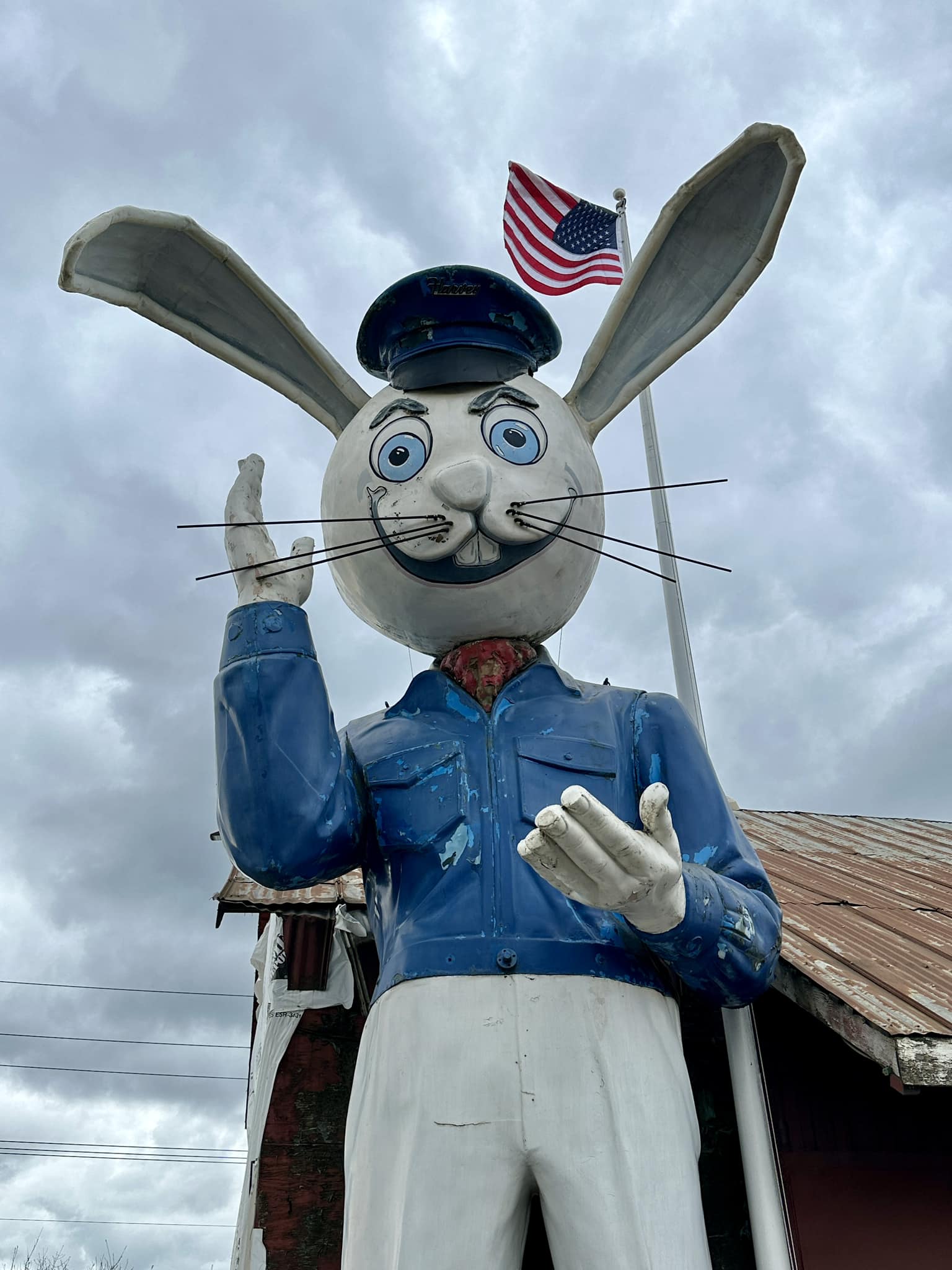 Harvey the Giant Rabbit in Aloha, Oregon