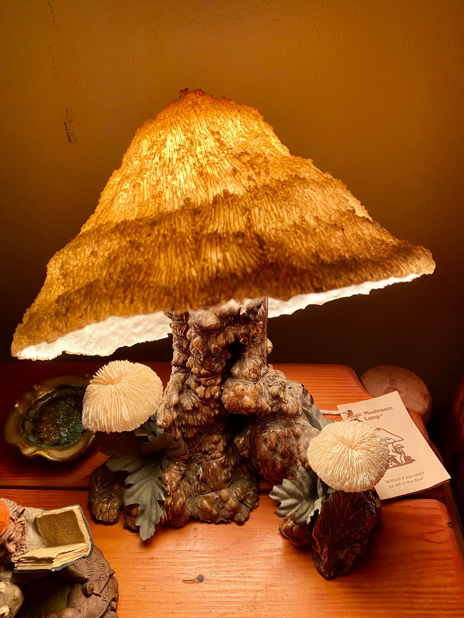 This mushroom lamp called out to me at an Estate Sale today. $75 
