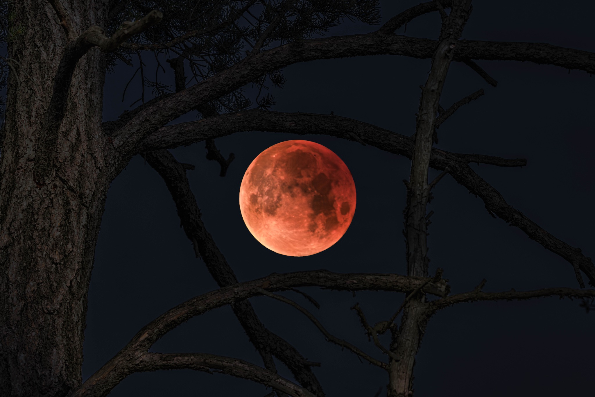The 2026 Buck Moon as it appeared over Southern Arizona last night