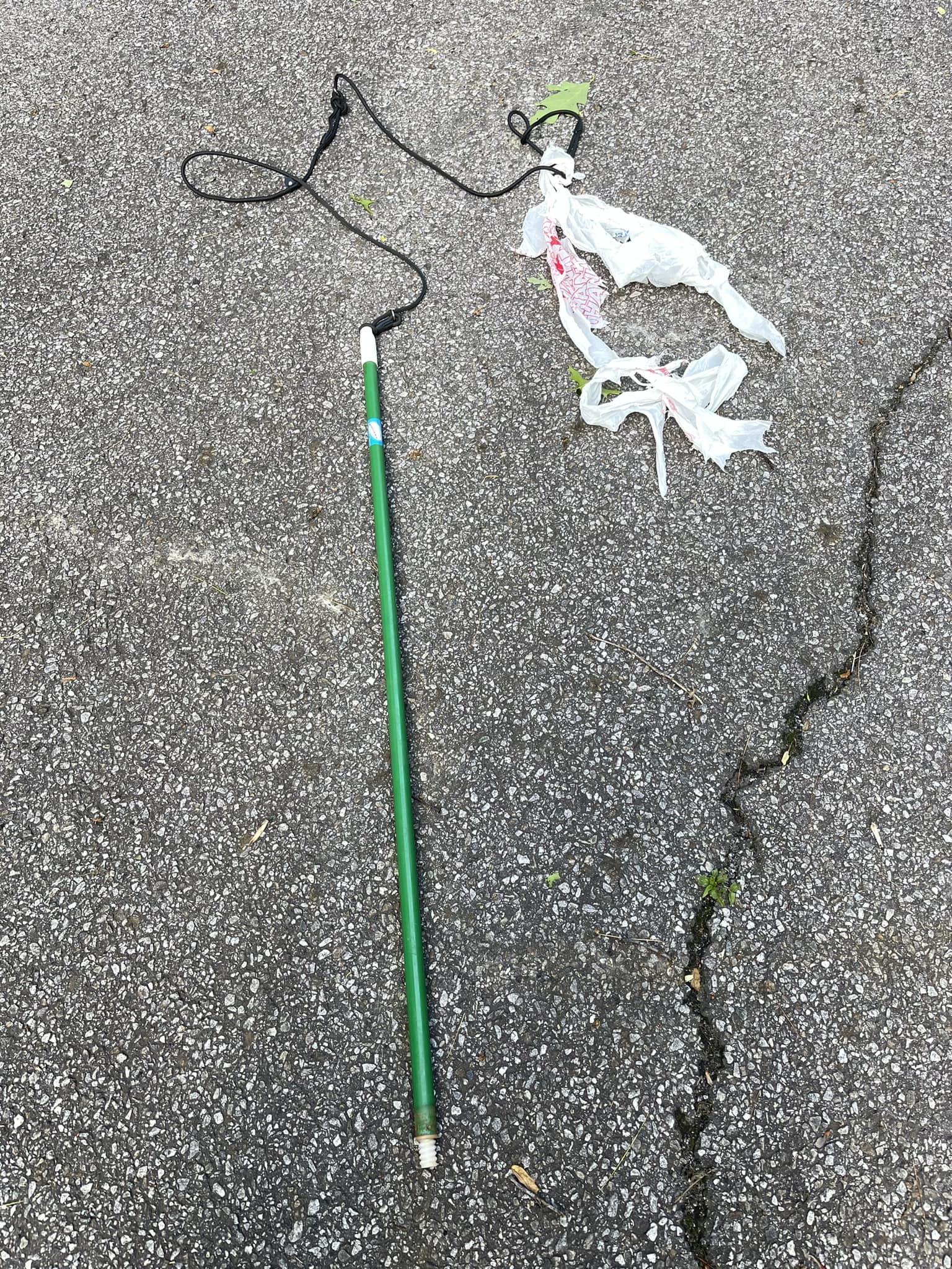 diy dog fishing pole Pet Supplies : Interactive Flirt Toy for Dogs Chase,Outdoor Exercise,Agility Training Fishing Dogs Are Rad -