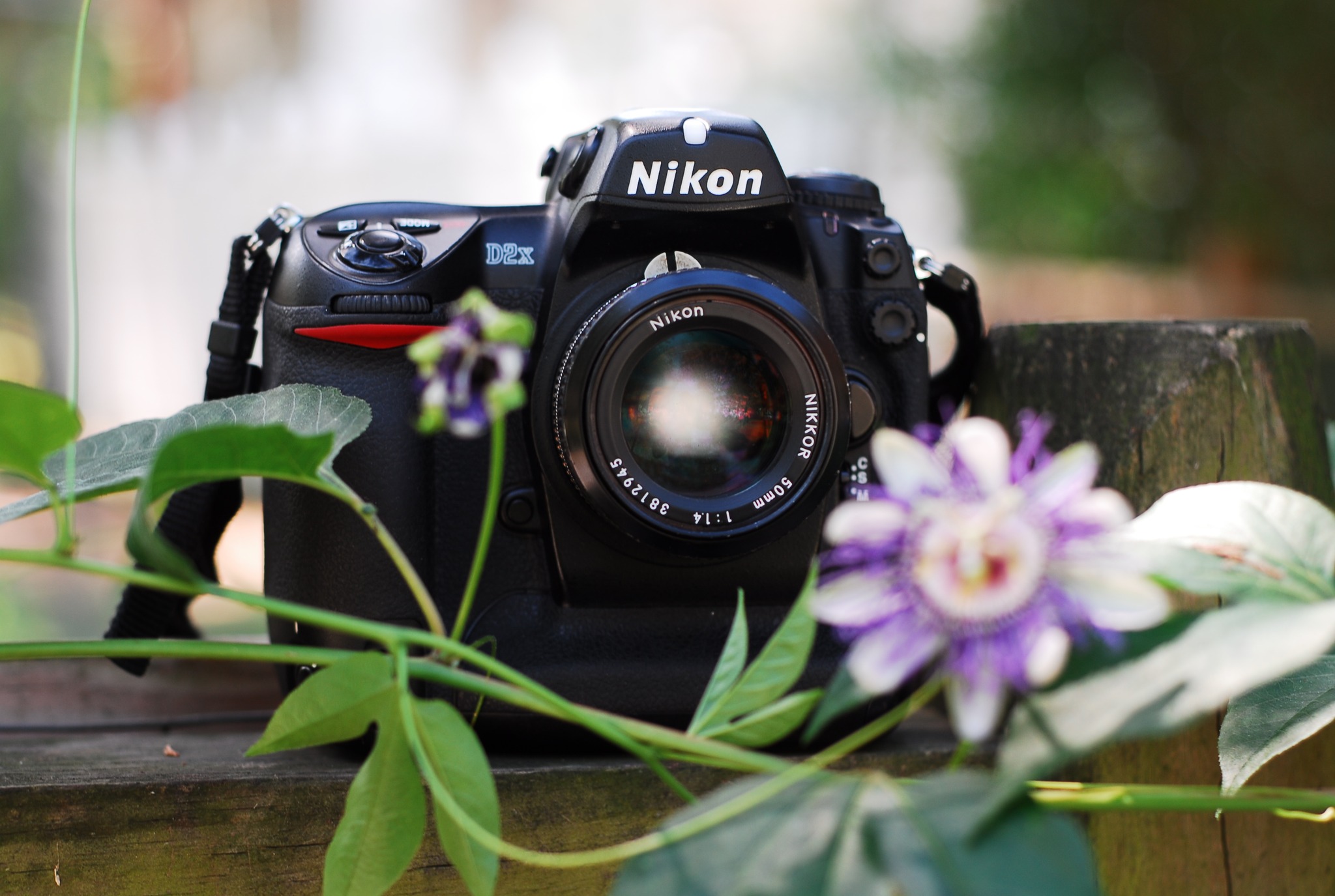 Nikon D200 Nikkor 50mm f1.4 non AI