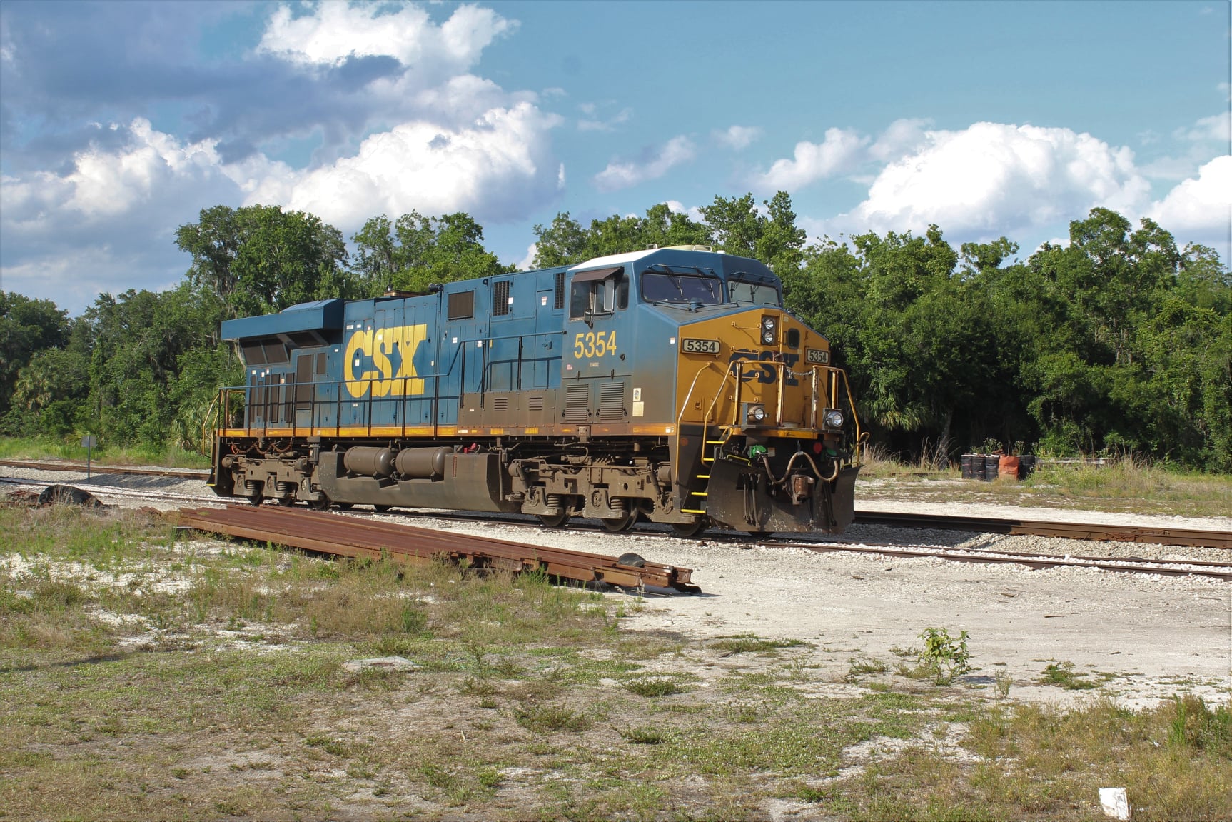 From Arcadia, FL. My favorite shot for National train day