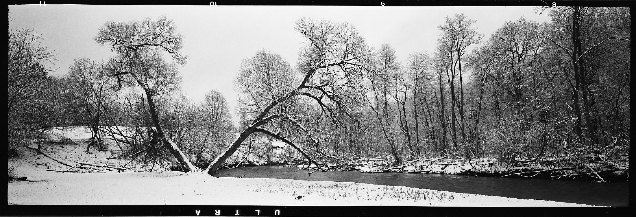 Winter park scene with Tomiyama Art Panorama 6x17