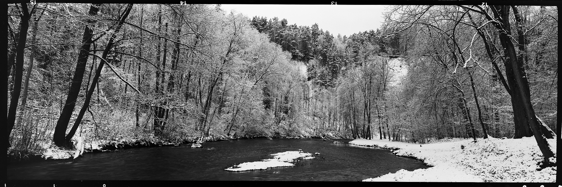 Winter in a park, 2023. Tomiyama Art Panorama 6x17, Nikkor 90/8 