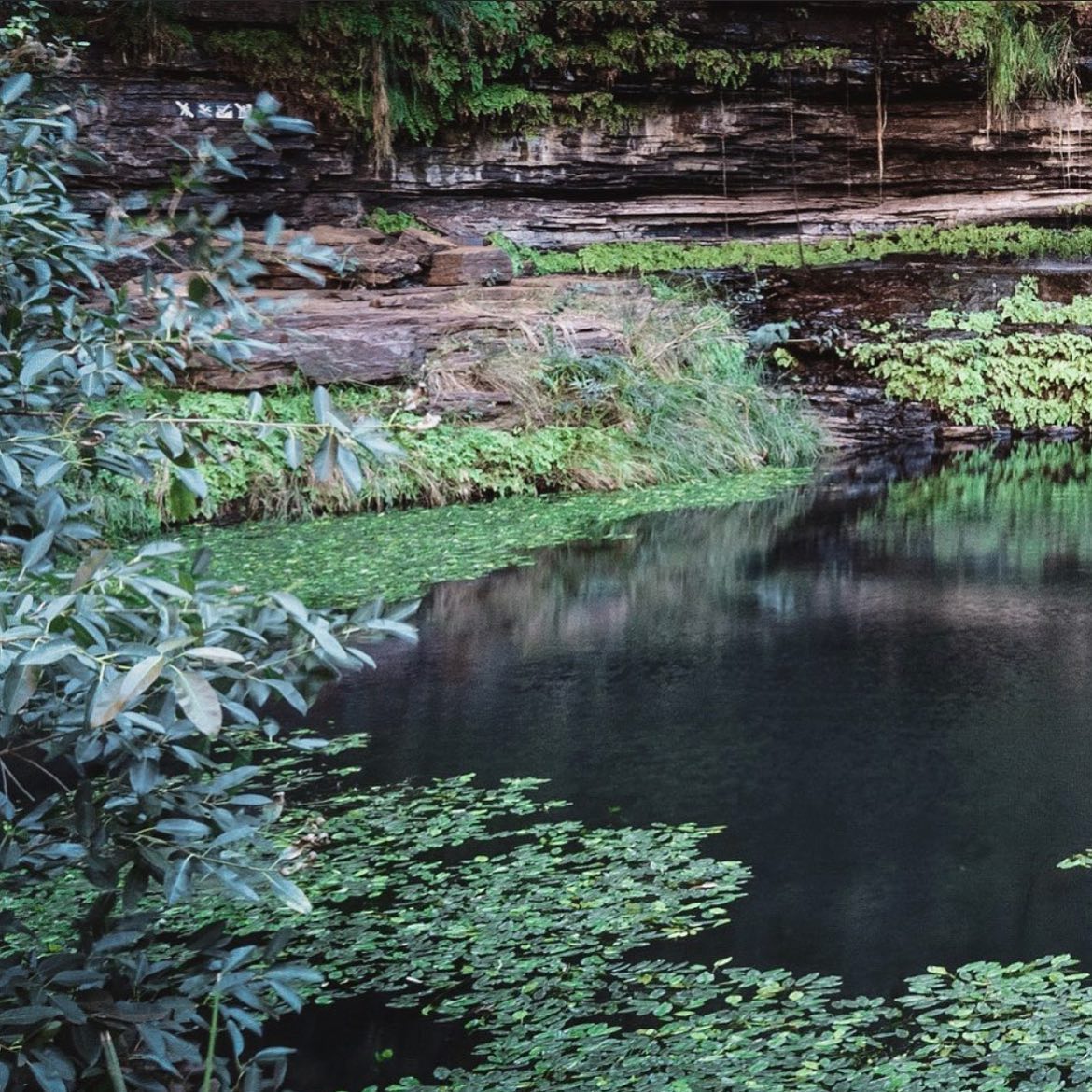Landscape West- Natural Pools | Perth WA