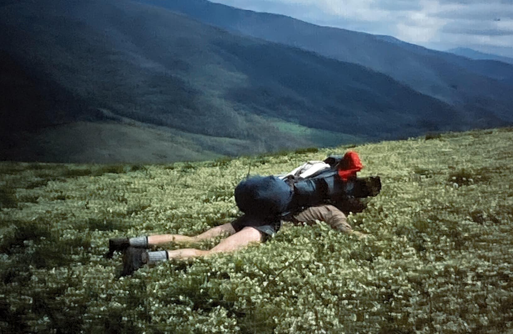 bugatti leather backpack Branded travel backpack women Pink Backpacks: Coral, Fuchsia, pass through Style:Allpa 35L - Blue Spruce/Abyss