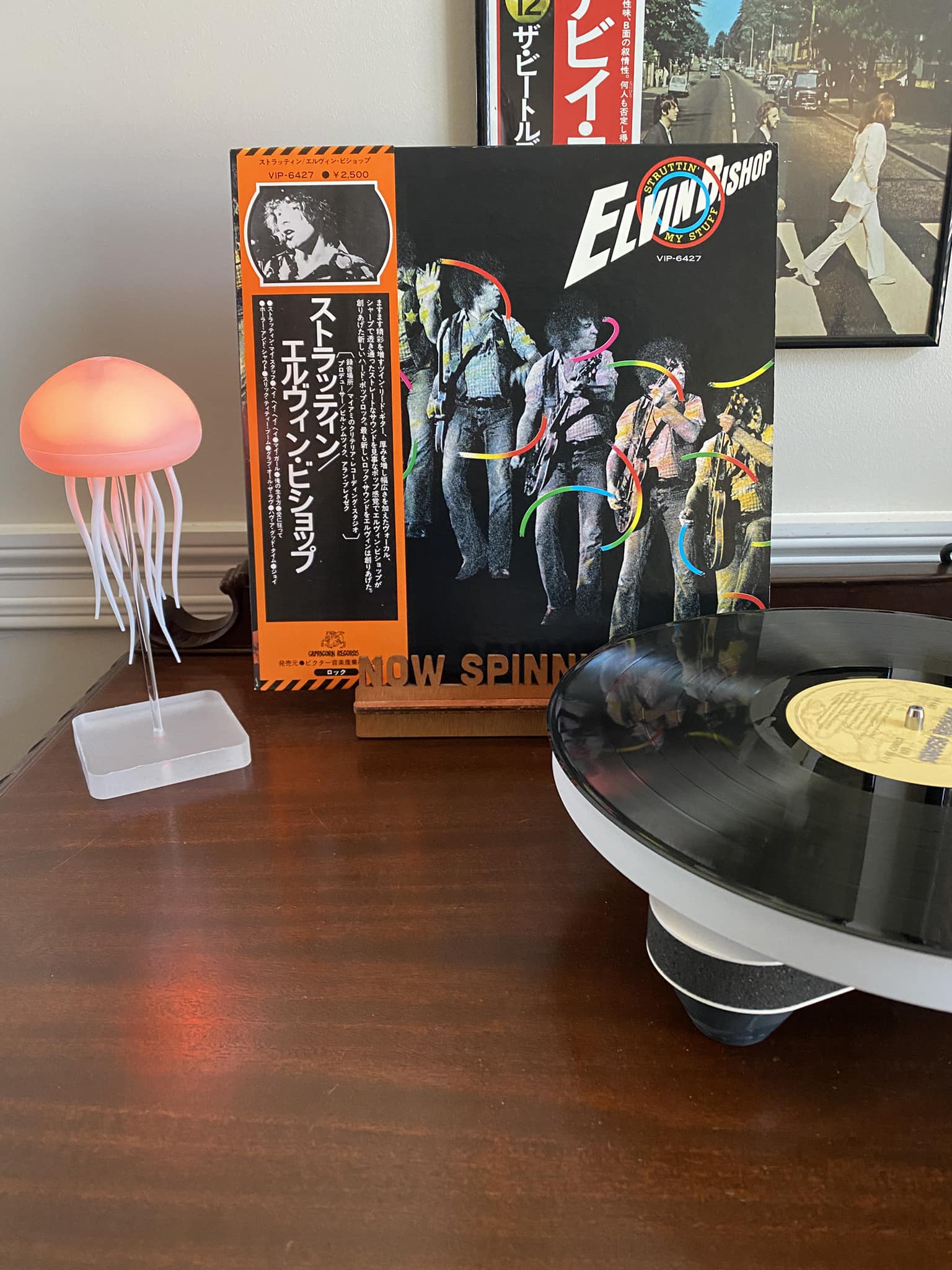 Elvin Bishop - Struttin