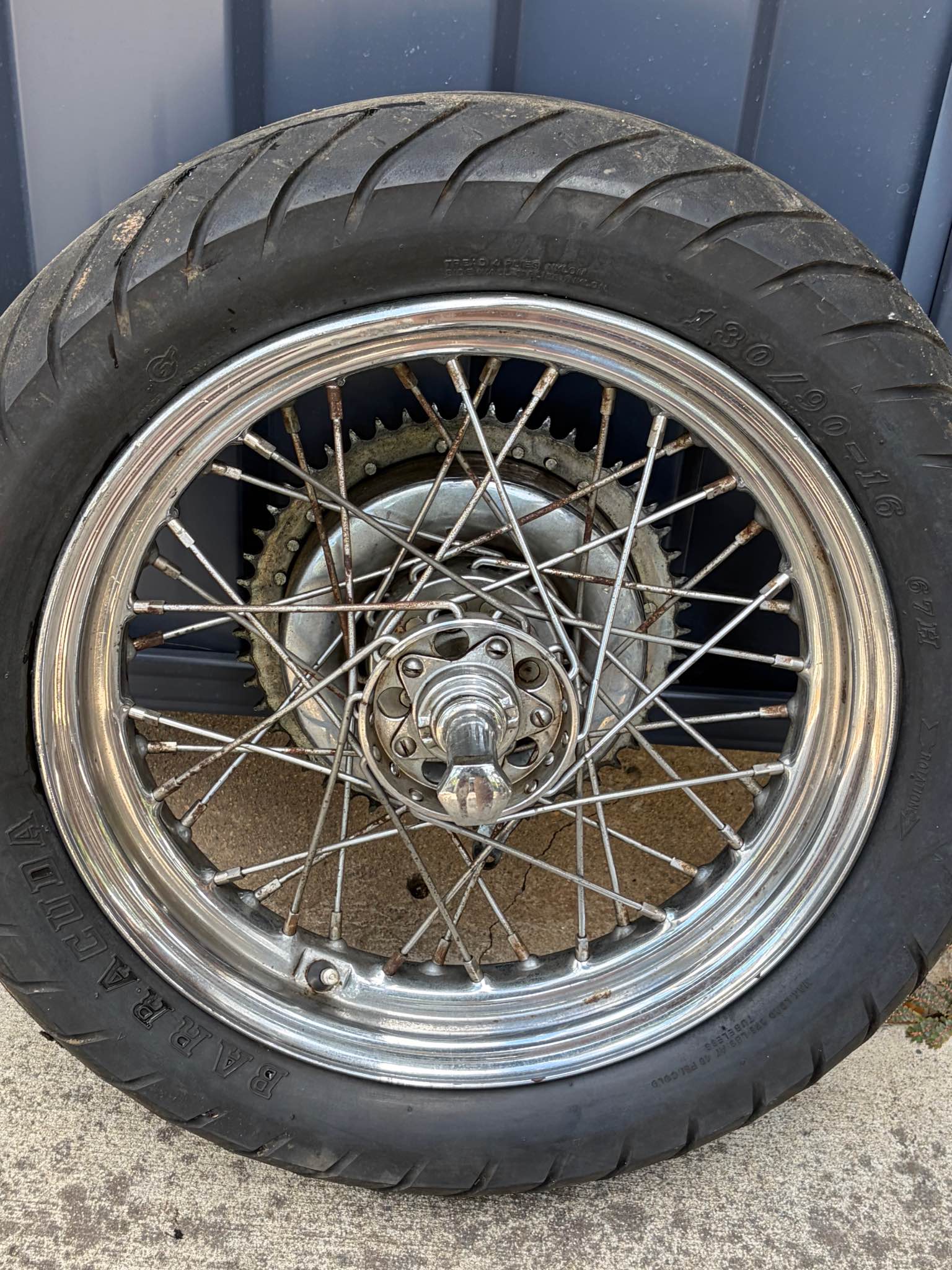 Harley Davidson Riders Australia Buy & Sell | Harley Davidson 16-inch ...