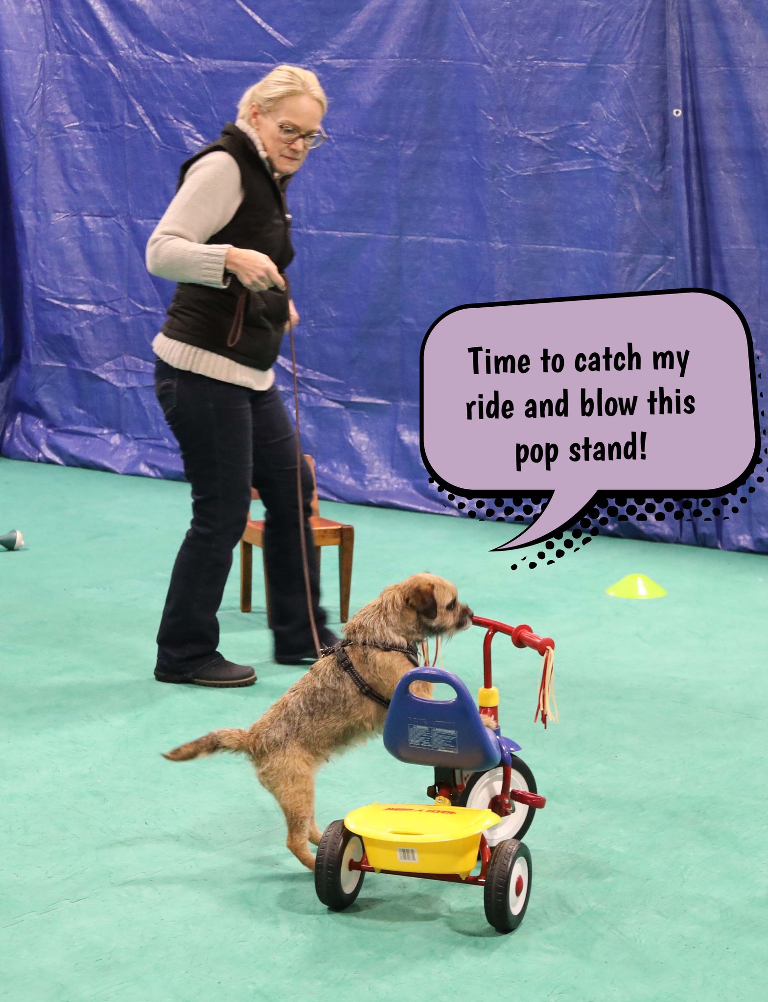 Car-Dun-Al Obedience Dog Training Club | The dog's POV. | Facebook