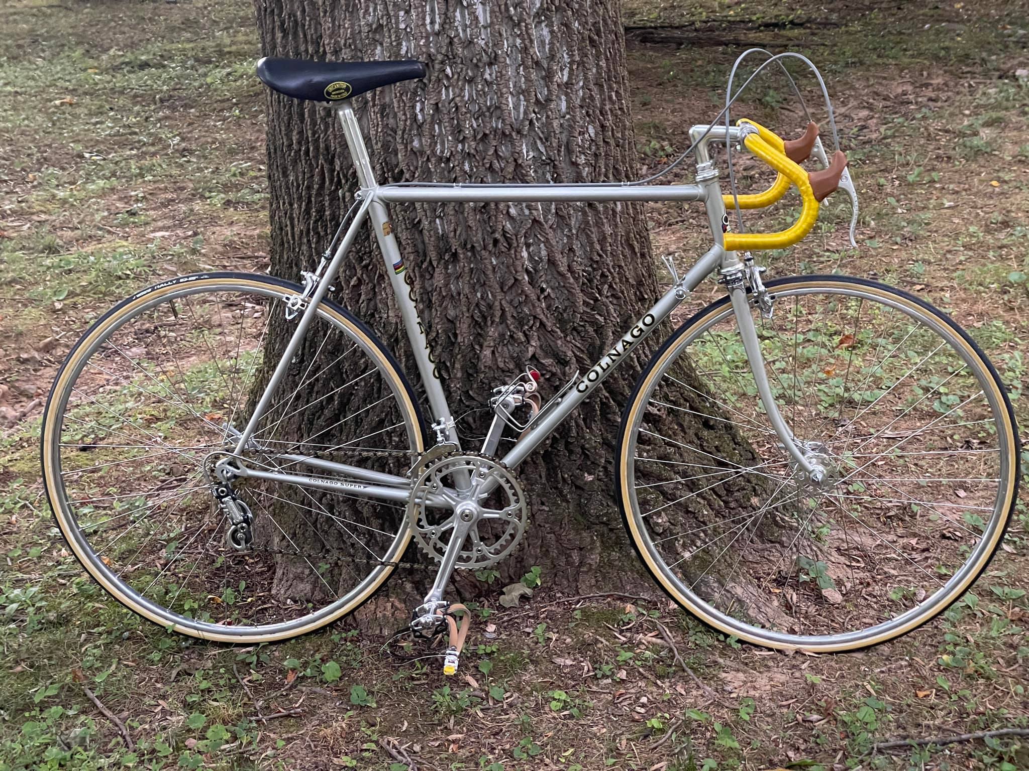 1977 Colnago Super restored with period-correct Campagnolo parts