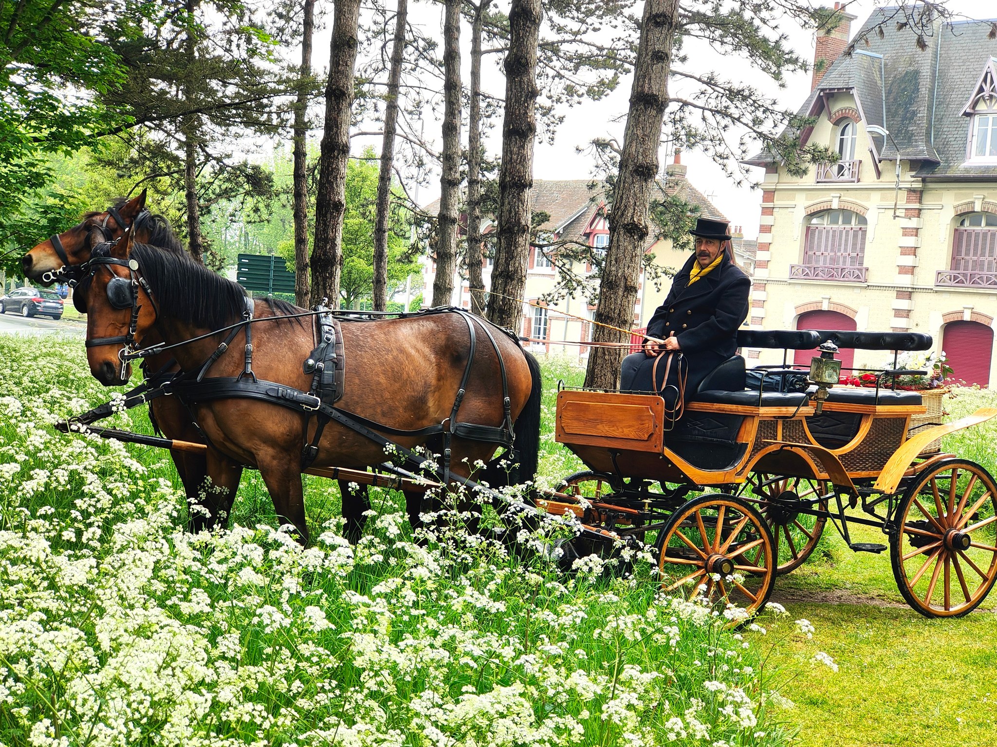 rid-rejs-at-ride-i-rum-nien-f-les-som-at-rejse-tilbage-i-tiden-i