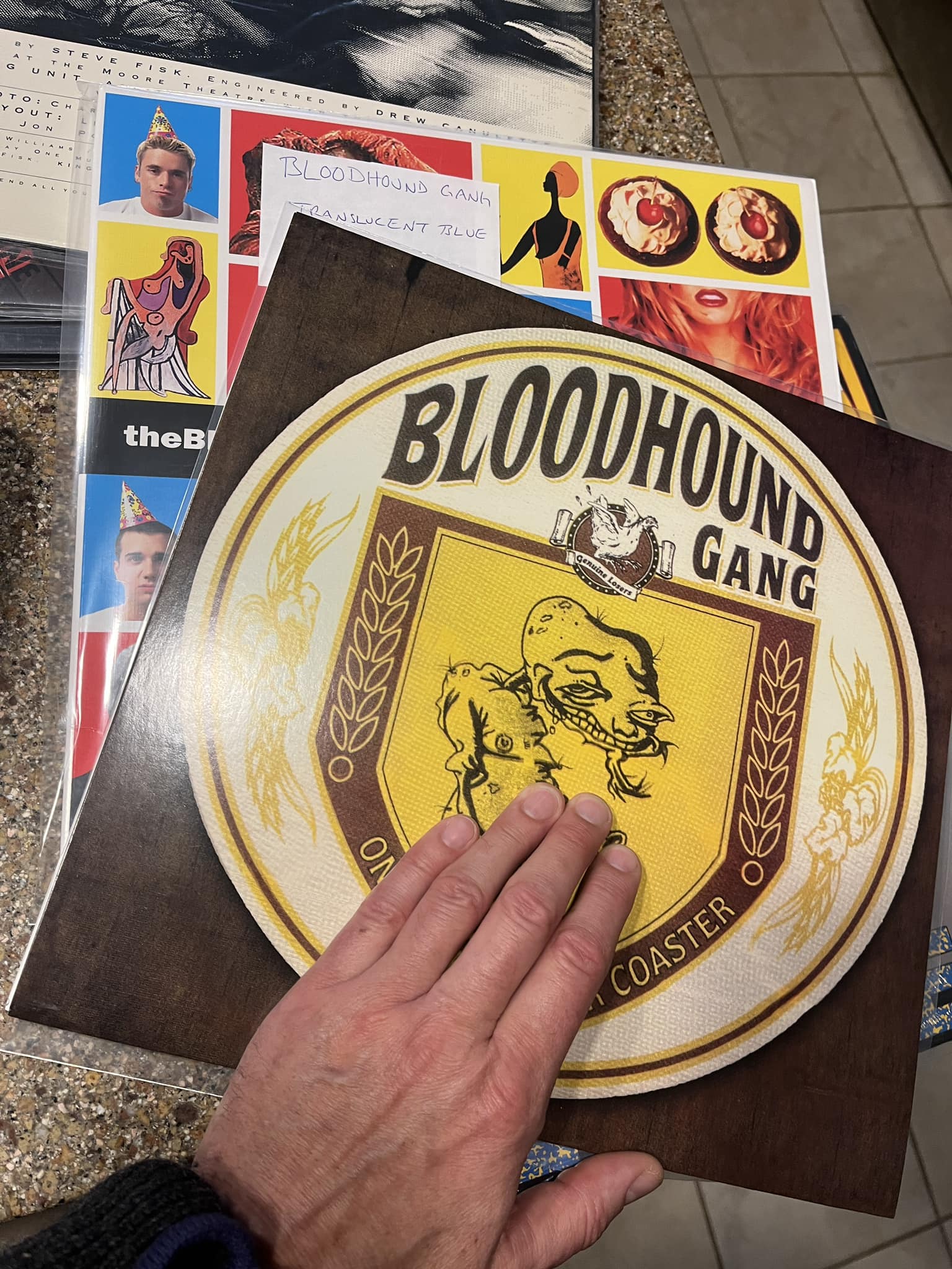 The Bloodhound Gang in stock now! #vinylpost