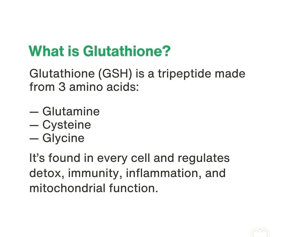 Glutathione's role in the Krebs cycle and energy production