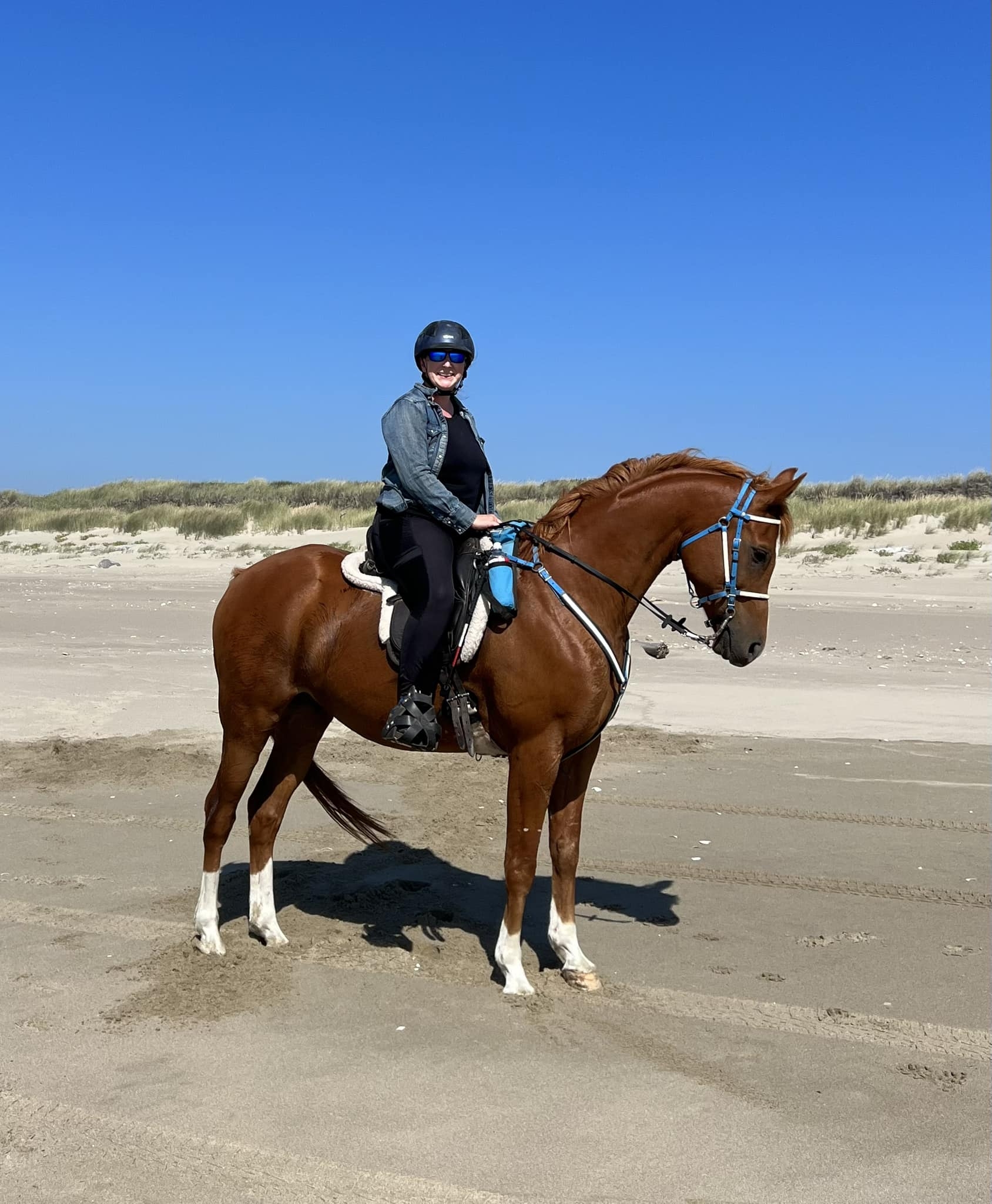 AERC: American Endurance Ride Conference | *This will probably ruffle ...