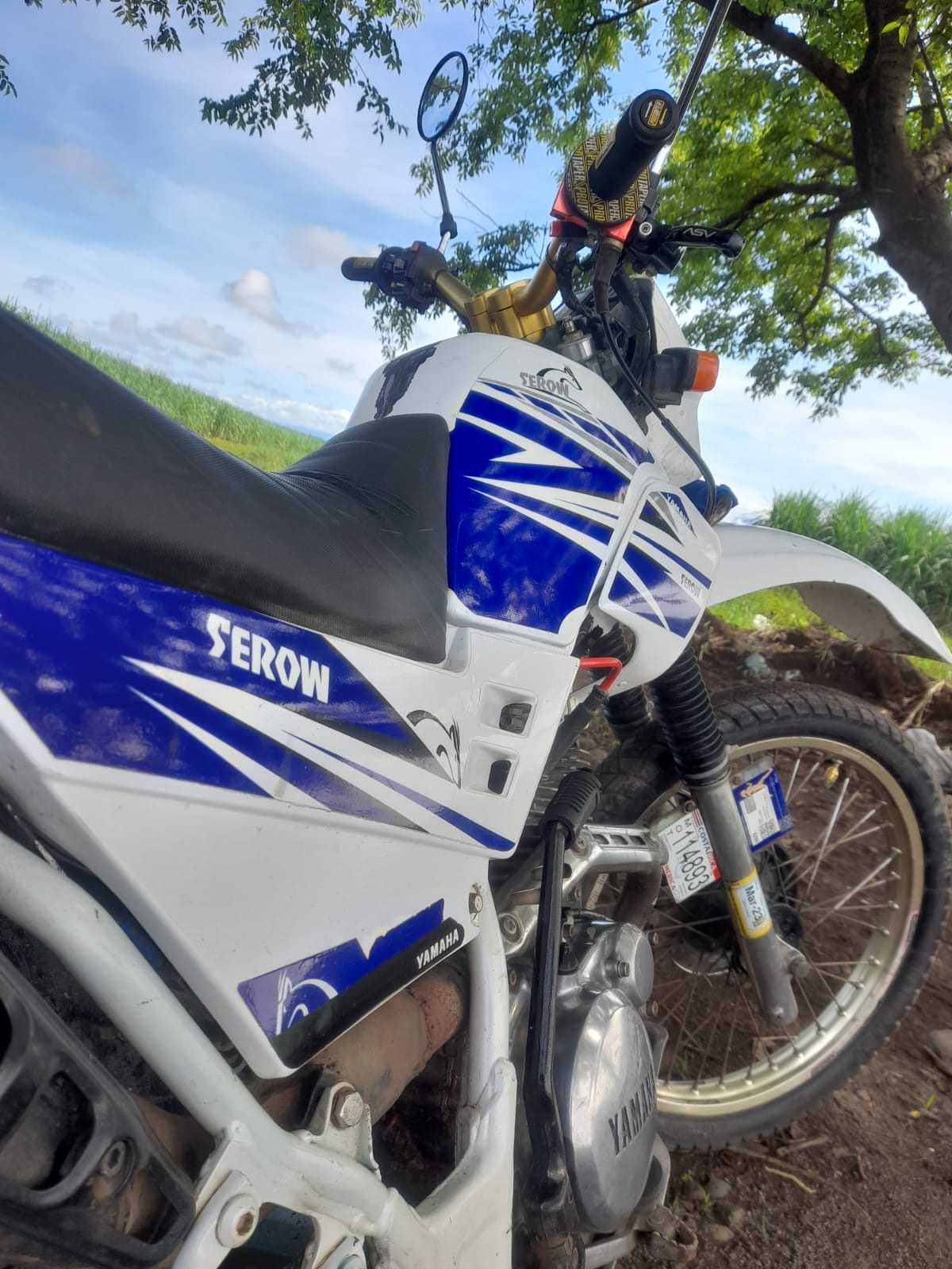 Hi all, Just bought a Brazilian Serow 225 from 2003. I'm trying to