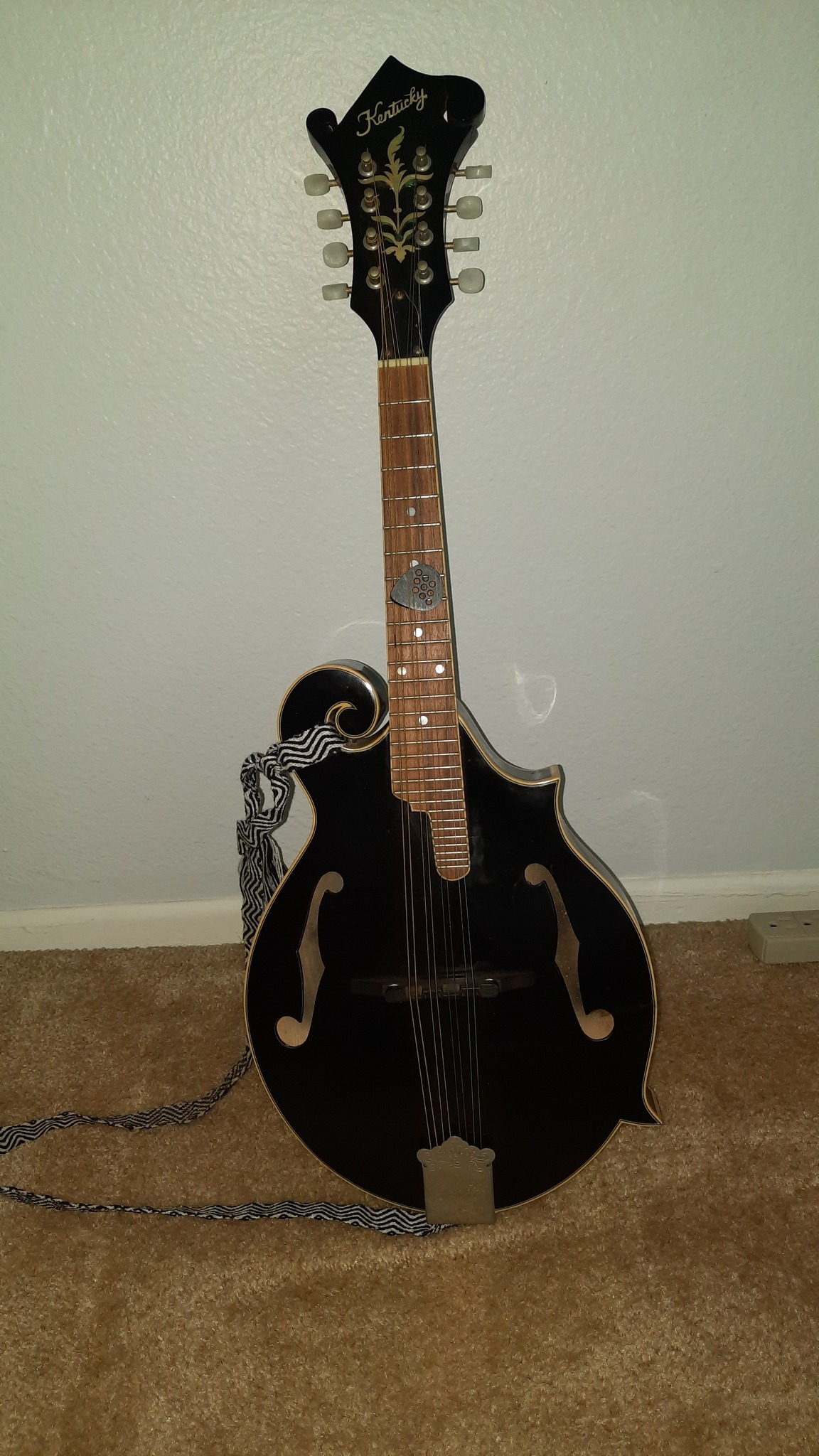 What model is this Kentucky mandolin and what is it worth?