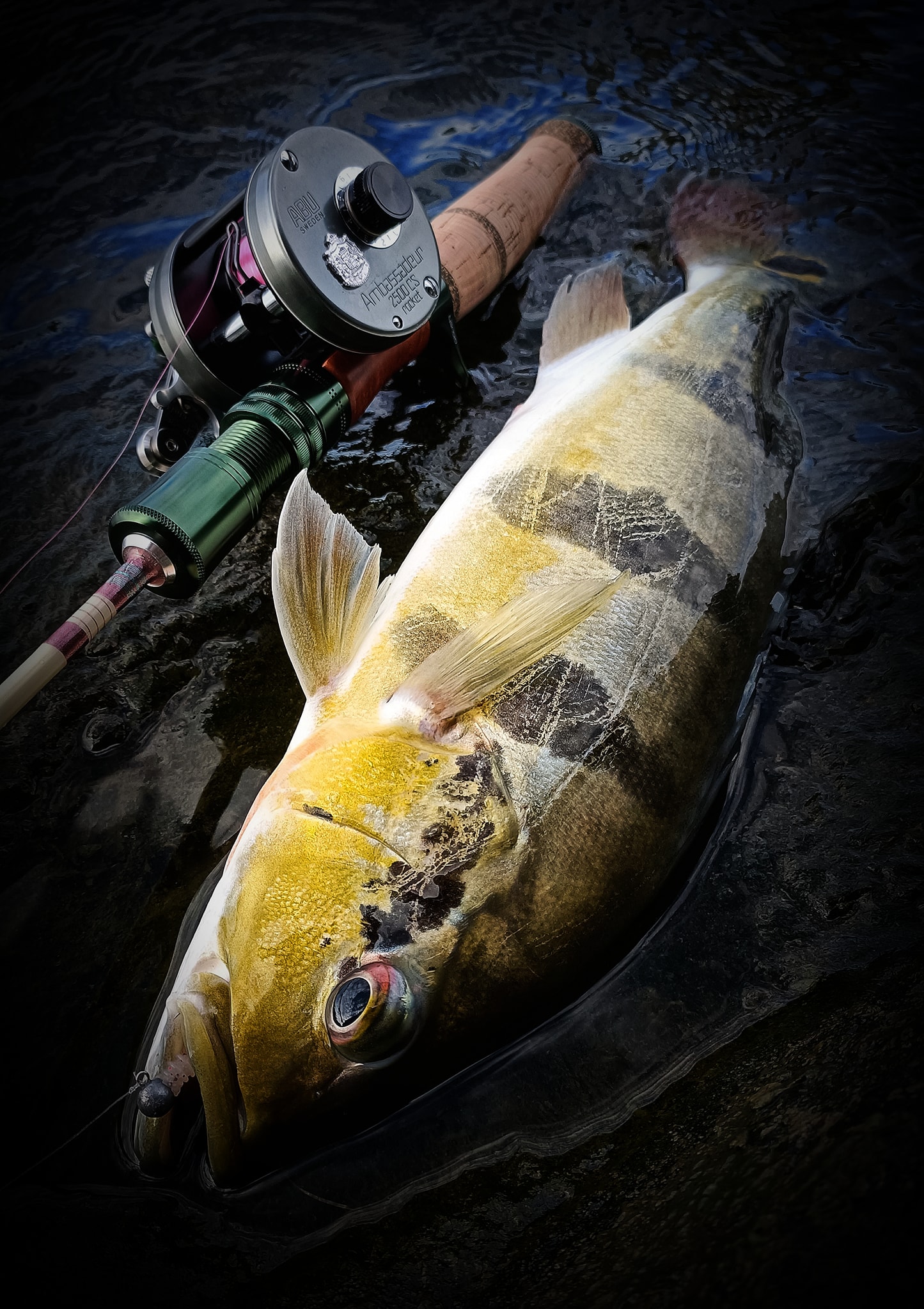 ABU GARCIA AMBASSADEUR 3500 CS ROCKET IAR ! #WildStream