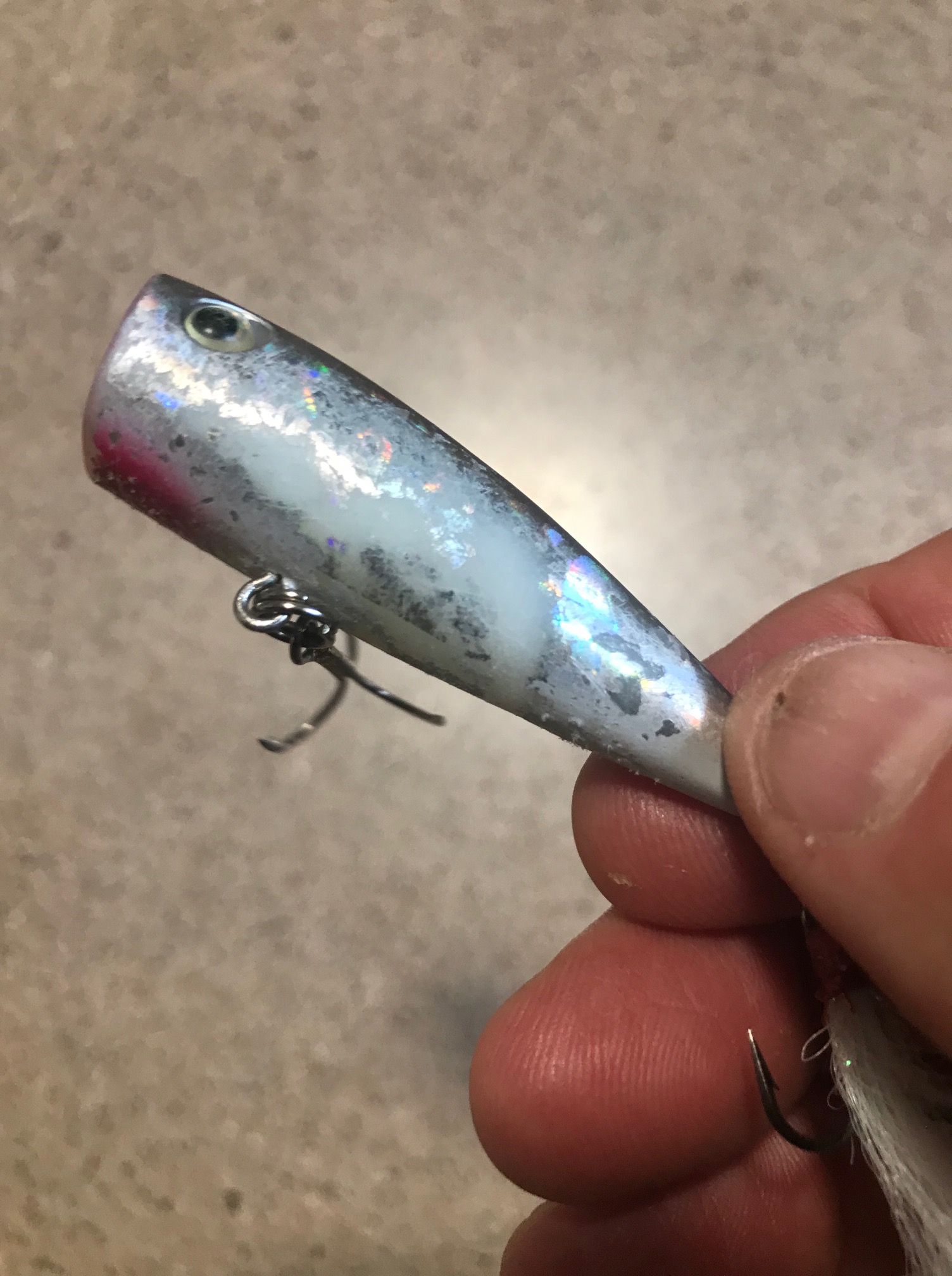 fish arizona z-wobbler lure catch a memory Yo-Zuri 3D Inshore Fingerling  Fisherman's Headquarters Yo-Zuri Crystal 3D Minnow Deep