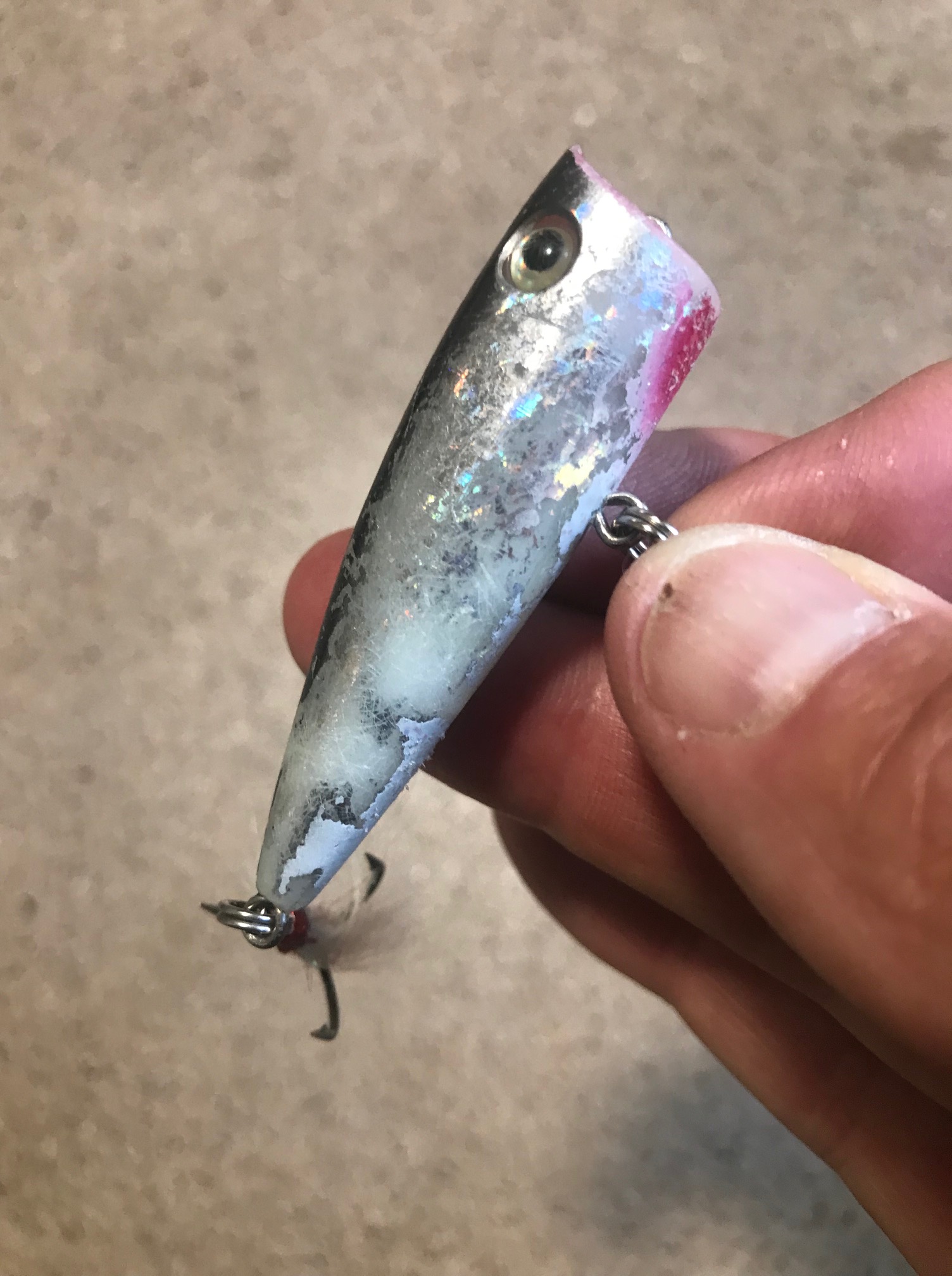 g loomis catfish rod G-Loomis STR 1084 C (GL2) — Ted's Sports Center home and garden fish decor Lure Color:Lot Lizard - Custom Color Its high Beginner's Guide to Fishing