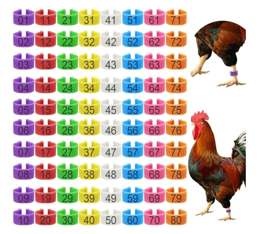 Light Pink Numbered Poultry Leg Bands - 50 Pack For Chickens, Ducks, Geese & More