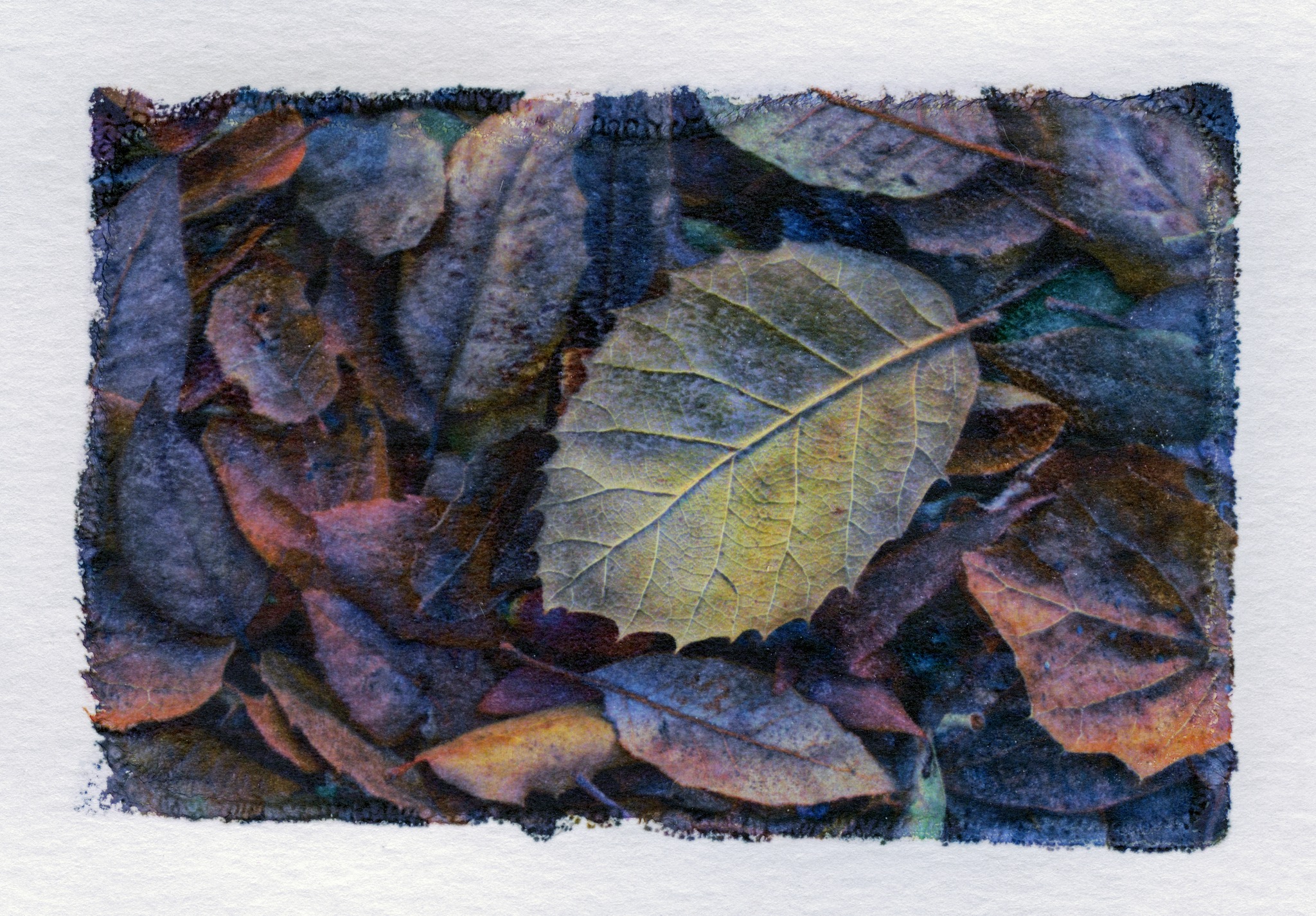水彩画 watercolor nicker poster colour 神奈川県庁